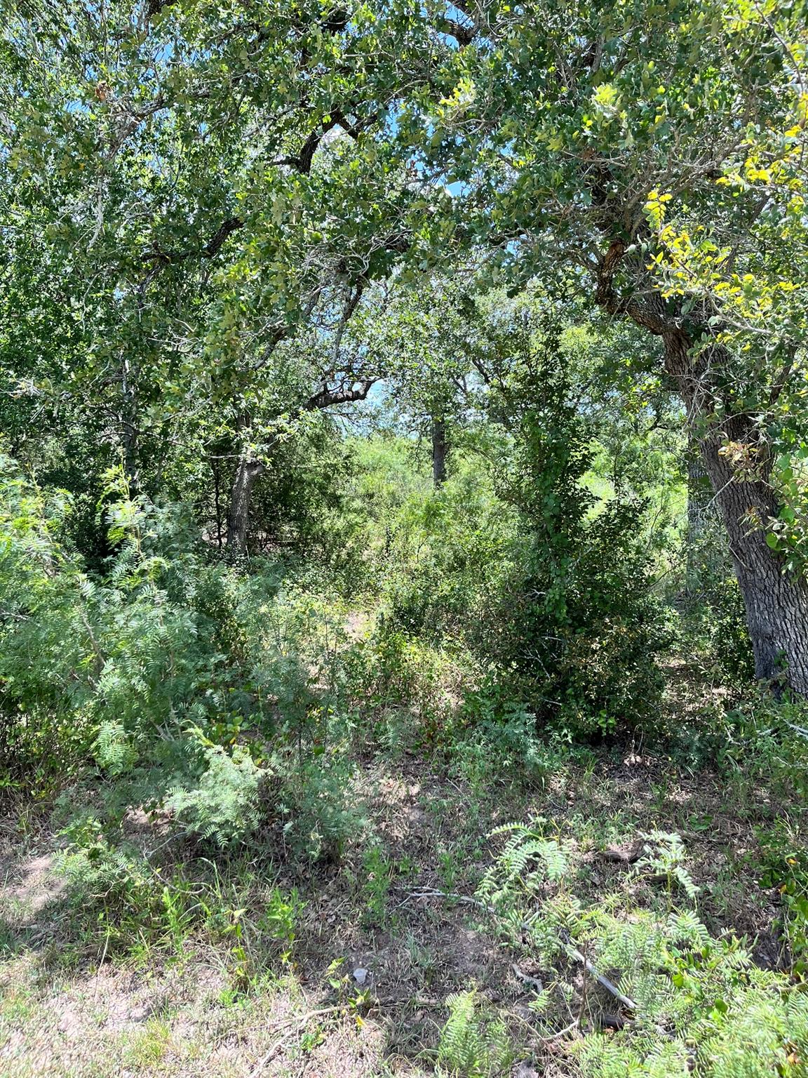 TBD Fm-2237, Flatonia, TX 78941