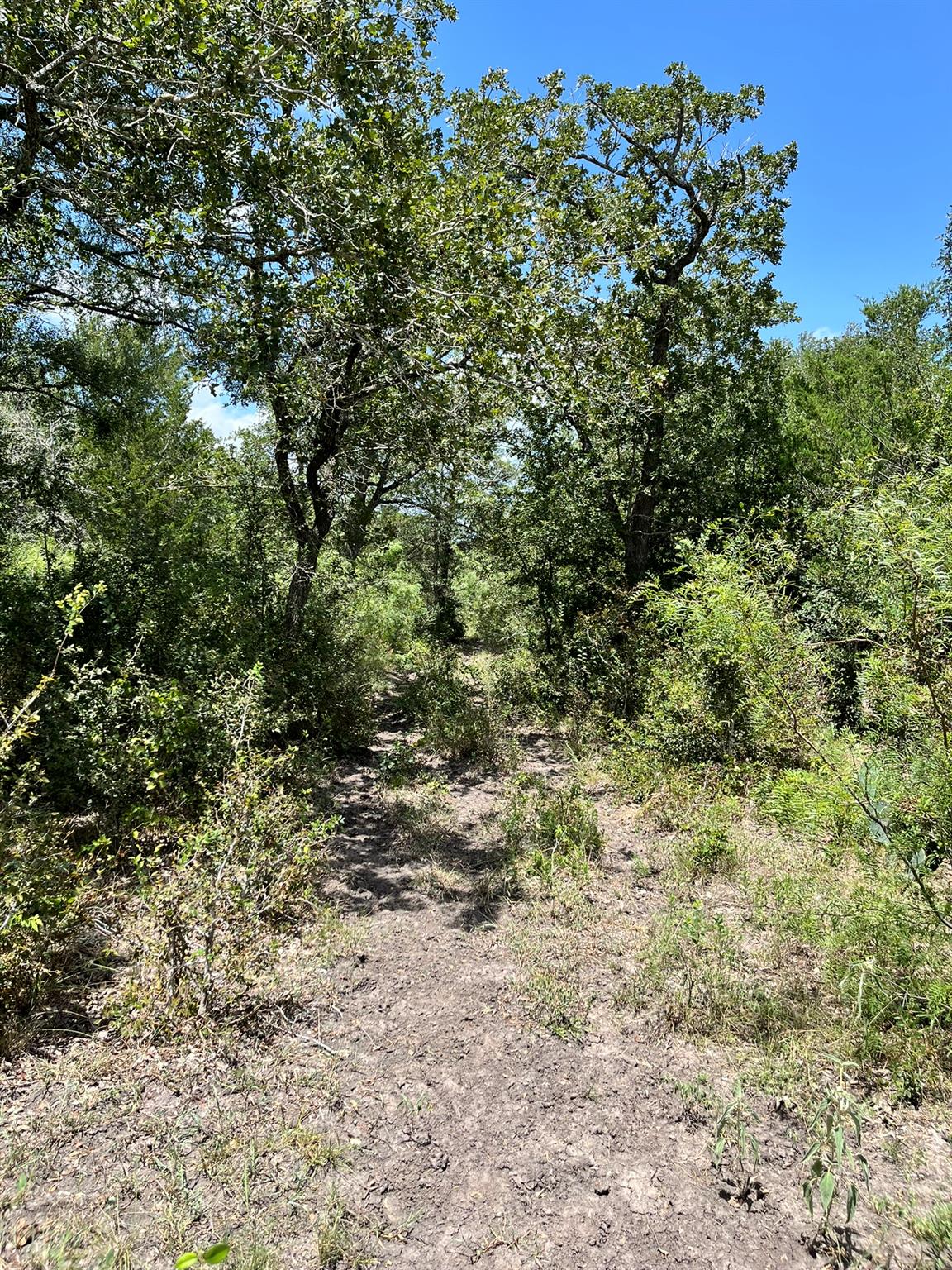 TBD Fm-2237, Flatonia, TX 78941