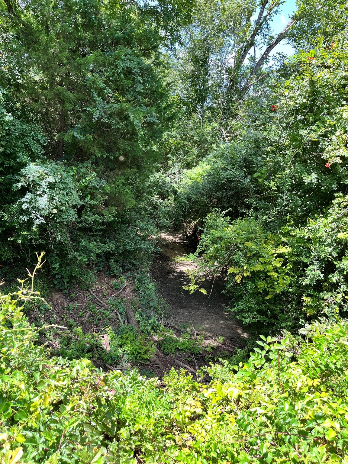 TBD Fm-2237, Flatonia, TX 78941