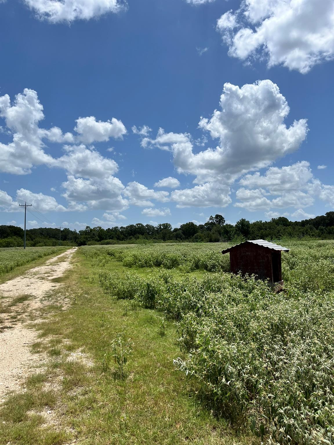 TBD Fm-2237, Flatonia, TX 78941