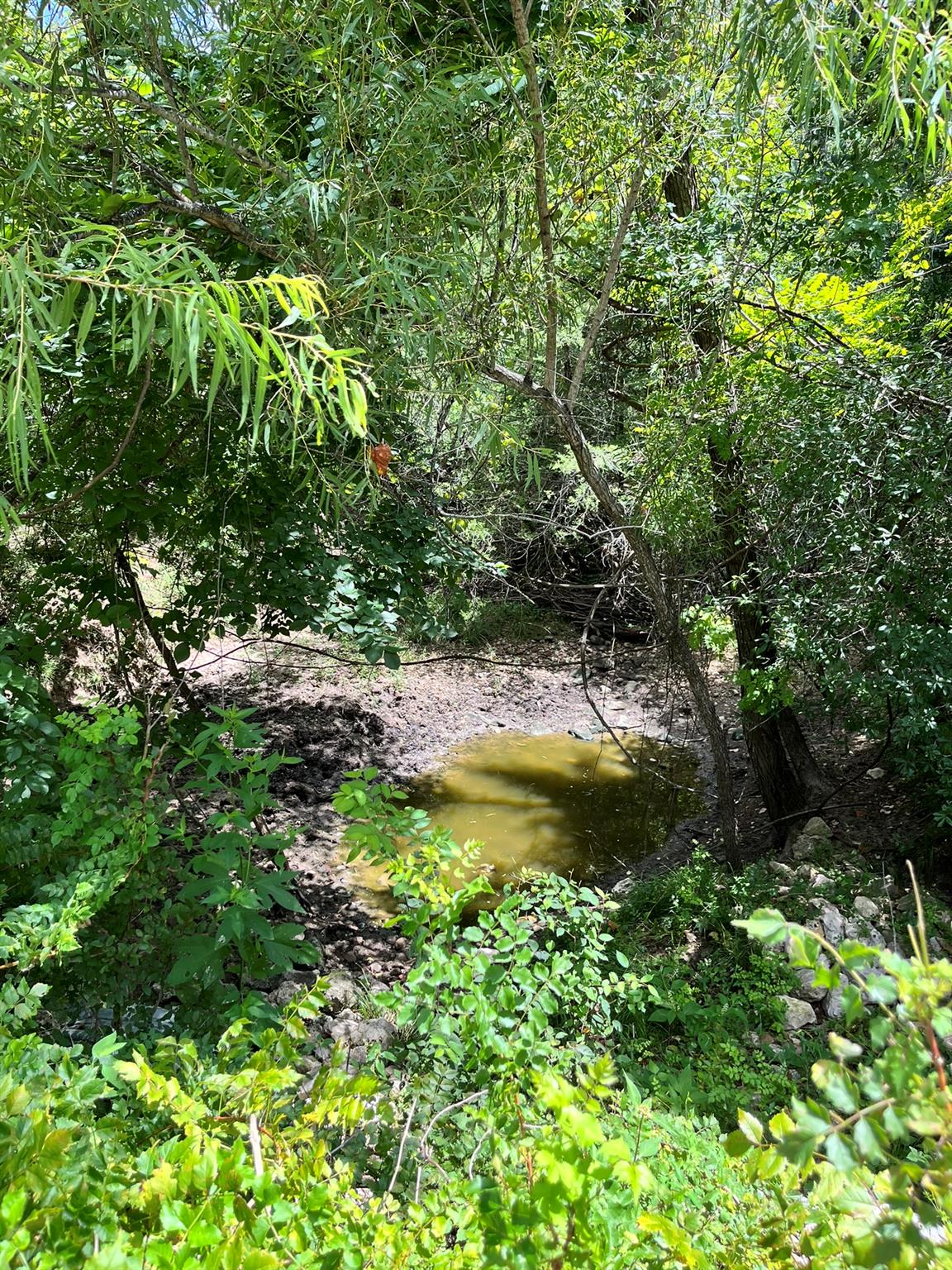 TBD Fm-2237, Flatonia, TX 78941