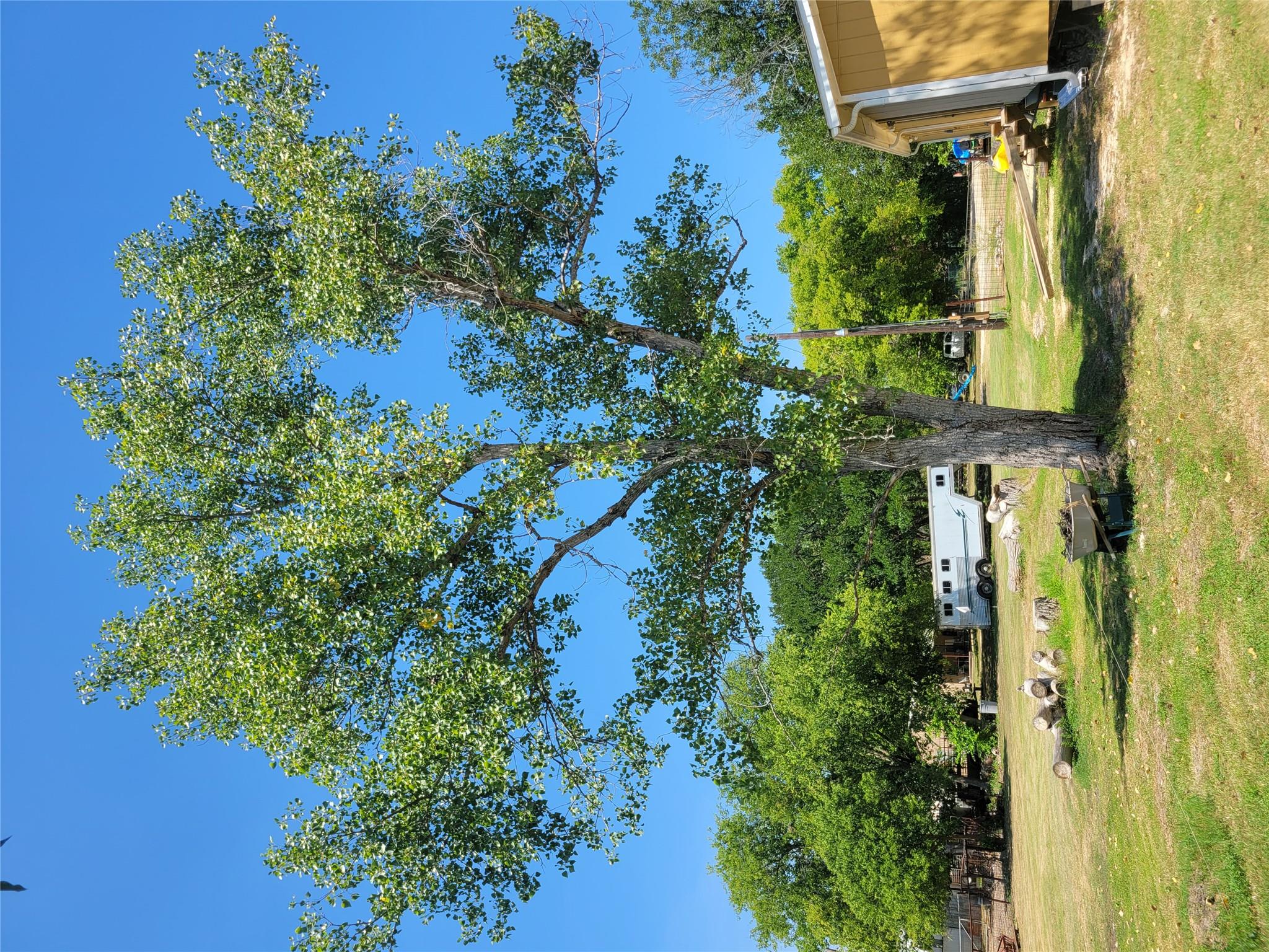 175 Sandoval St, Buda, TX 78610