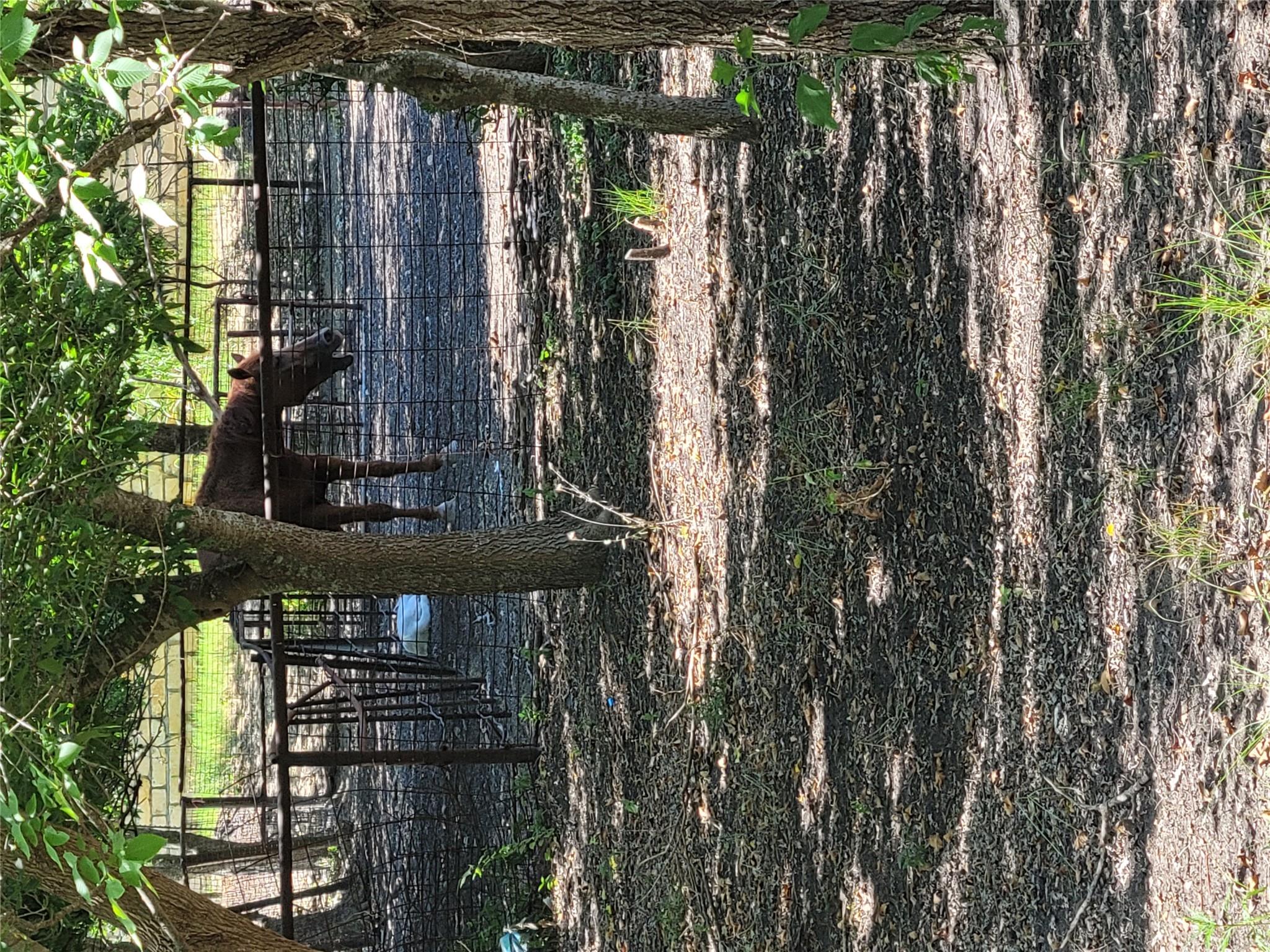 175 Sandoval St, Buda, TX 78610