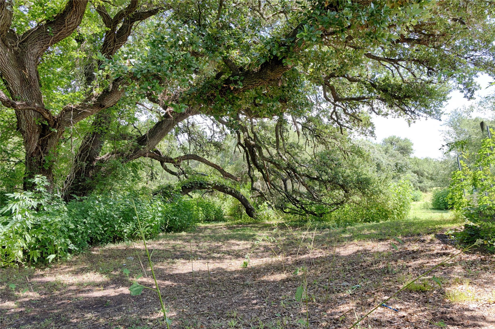 7541 FM 609, La Grange, TX 78945