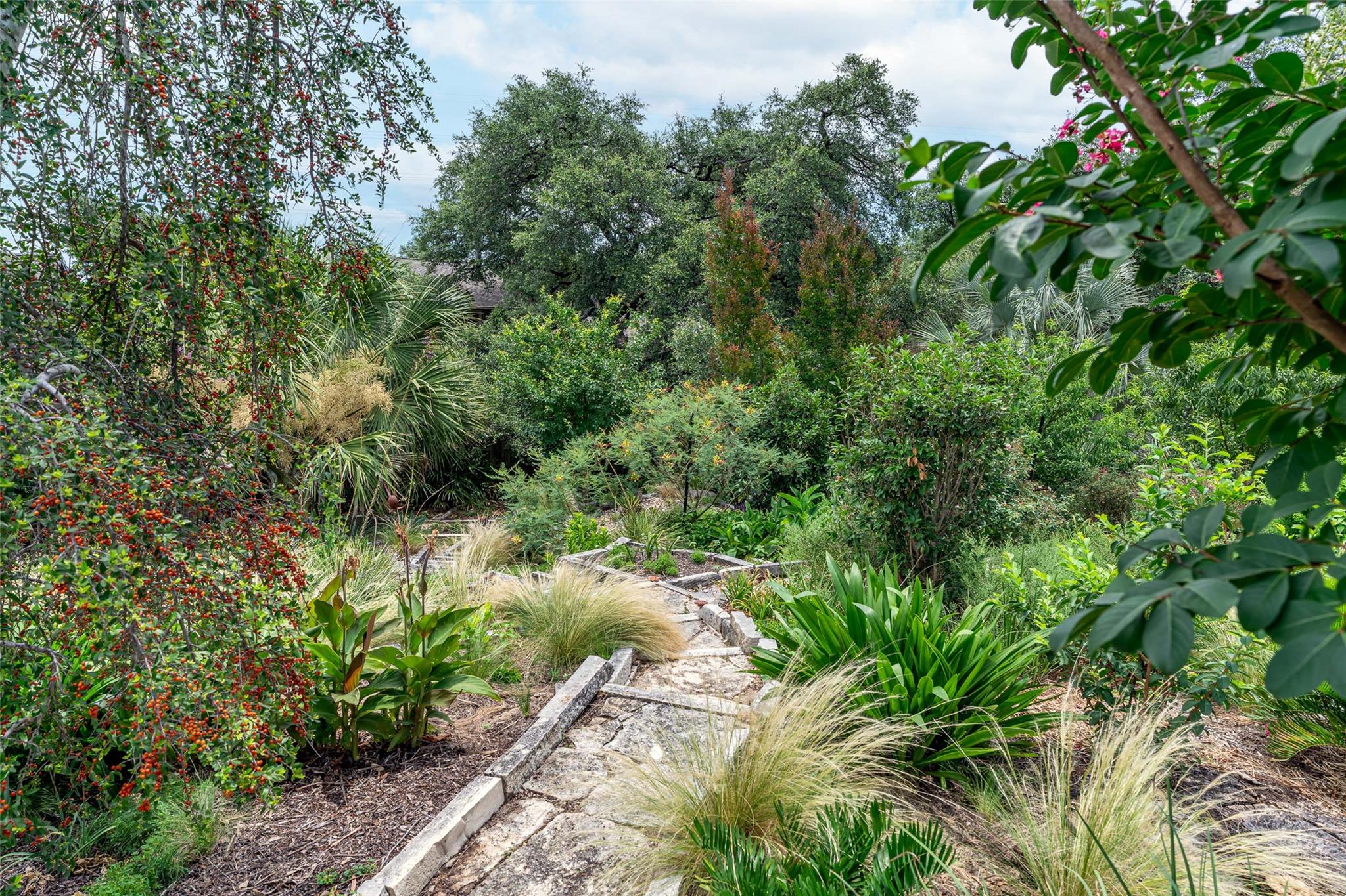 11801 Doonesbury Cv, Austin, TX 78758