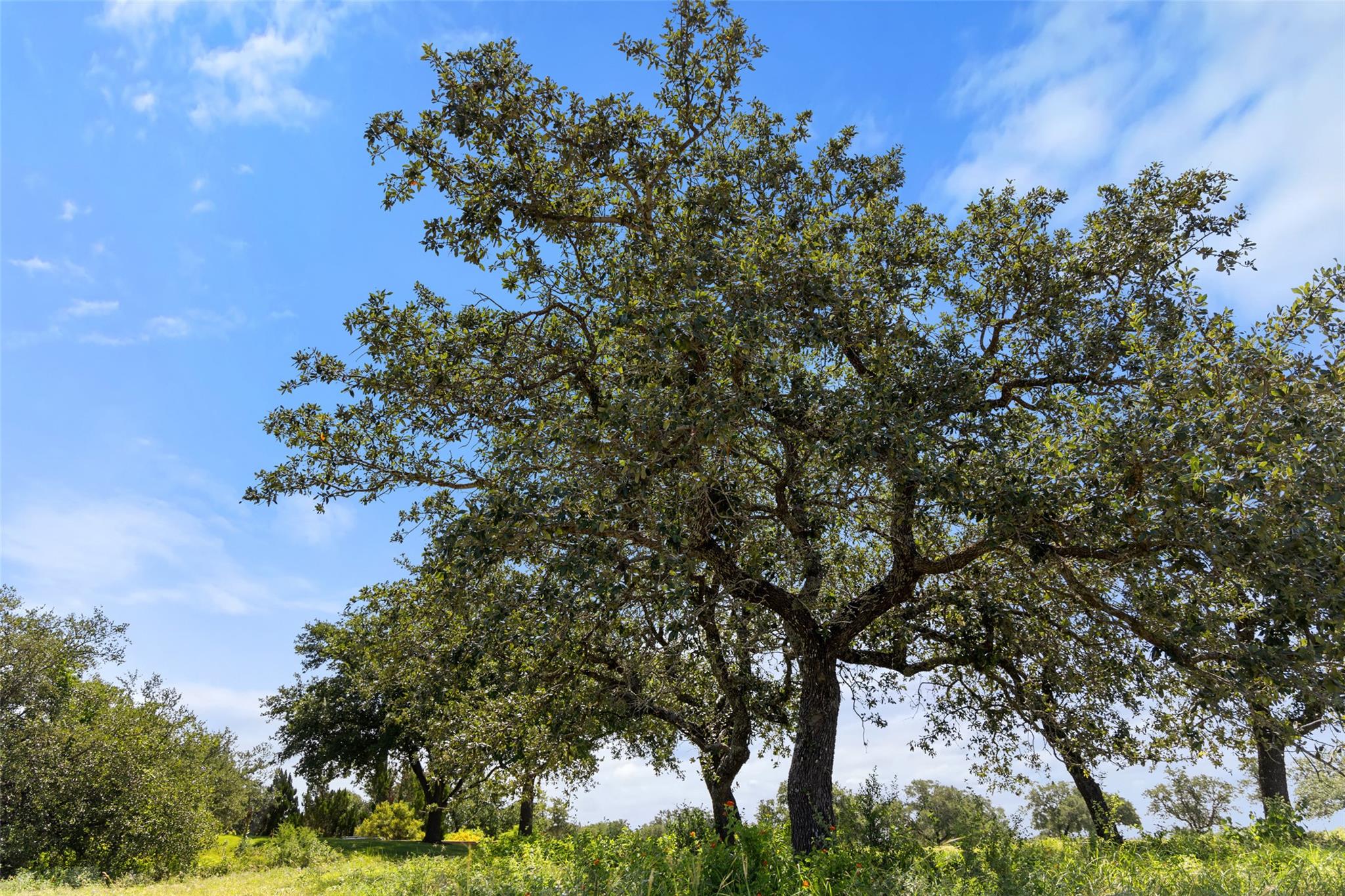 3200 Kahala Sunset Dr, Spicewood, TX 78669