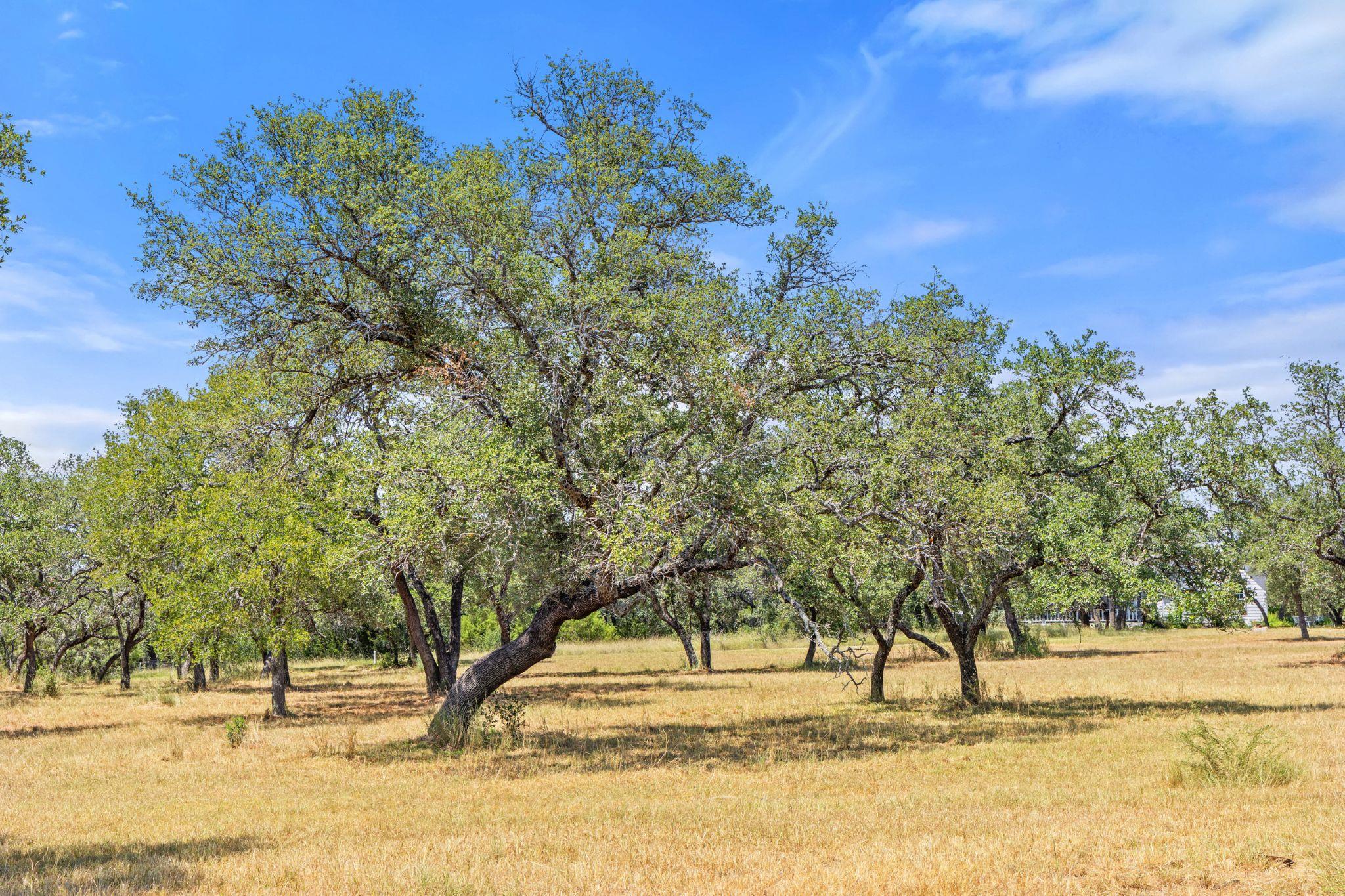 Lot 17 Stonegate Ct, Johnson City, TX 78636