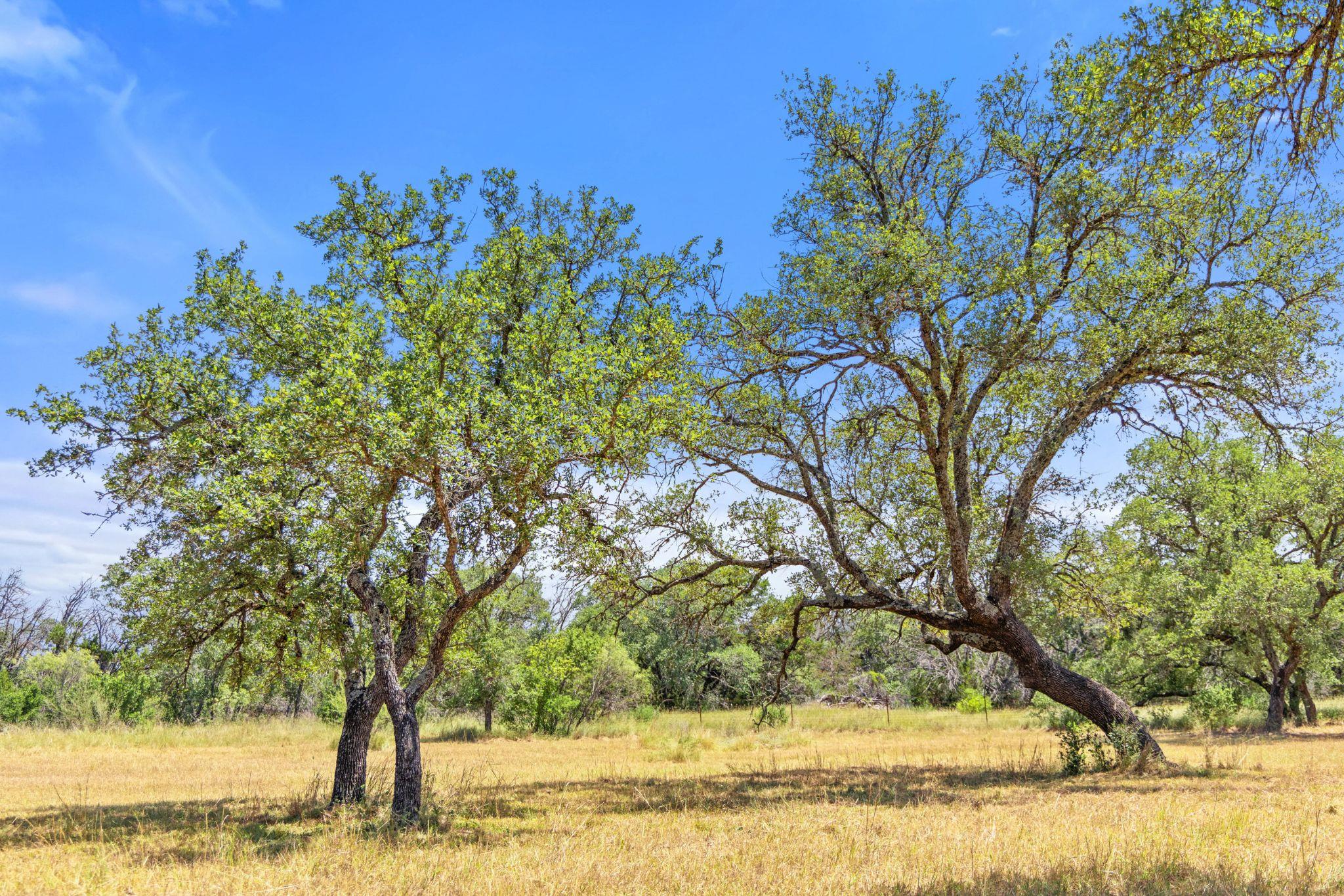 Lot 17 Stonegate Ct, Johnson City, TX 78636