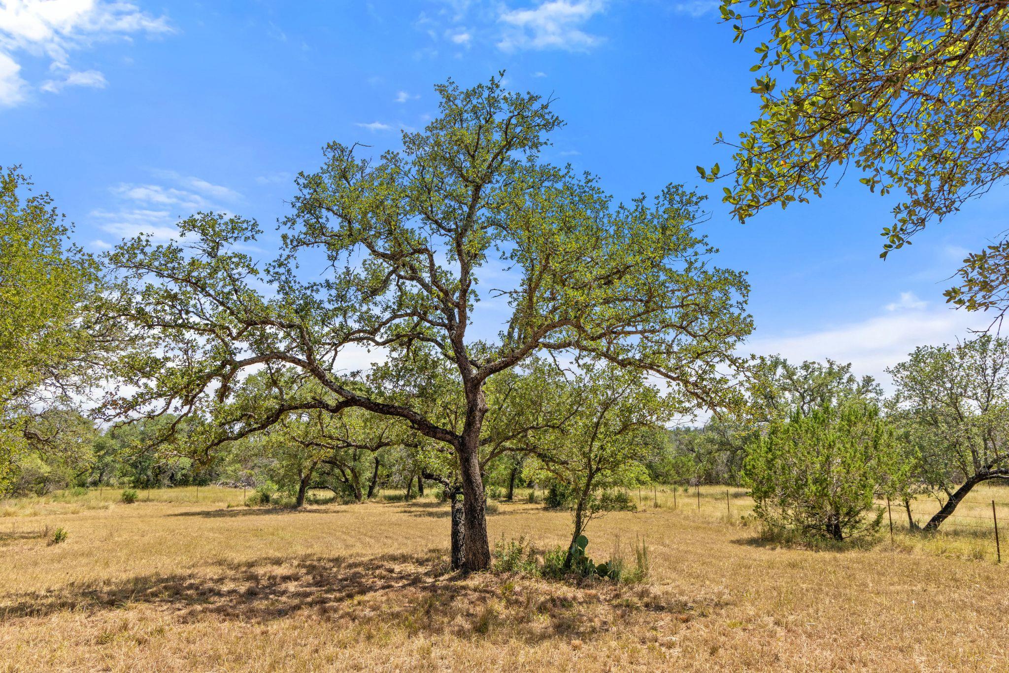 Lot 17 Stonegate Ct, Johnson City, TX 78636