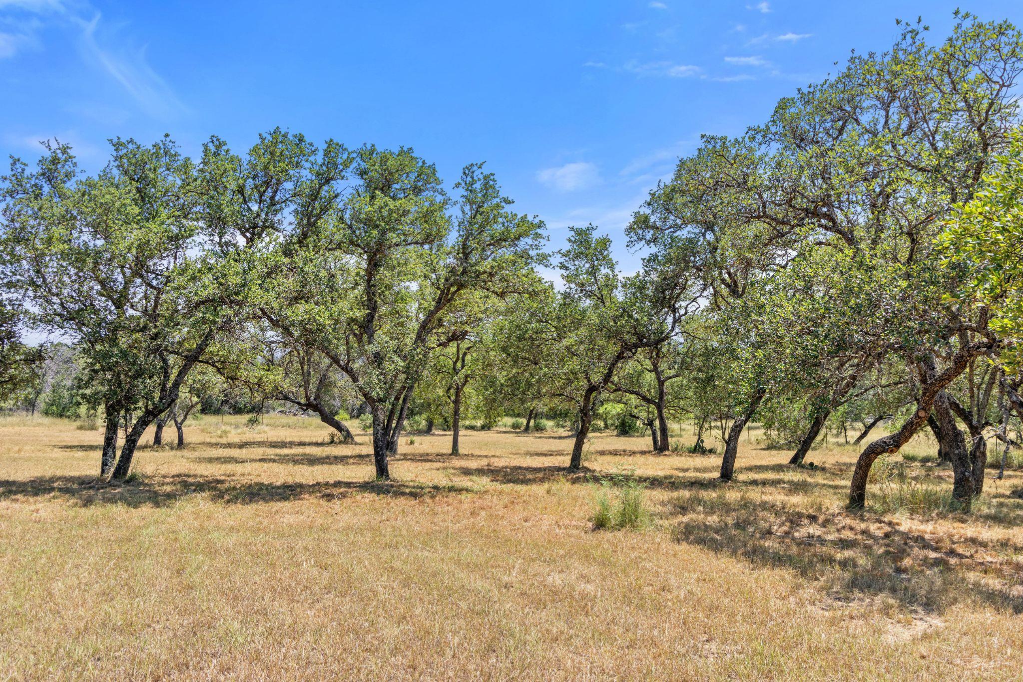 Lot 17 Stonegate Ct, Johnson City, TX 78636