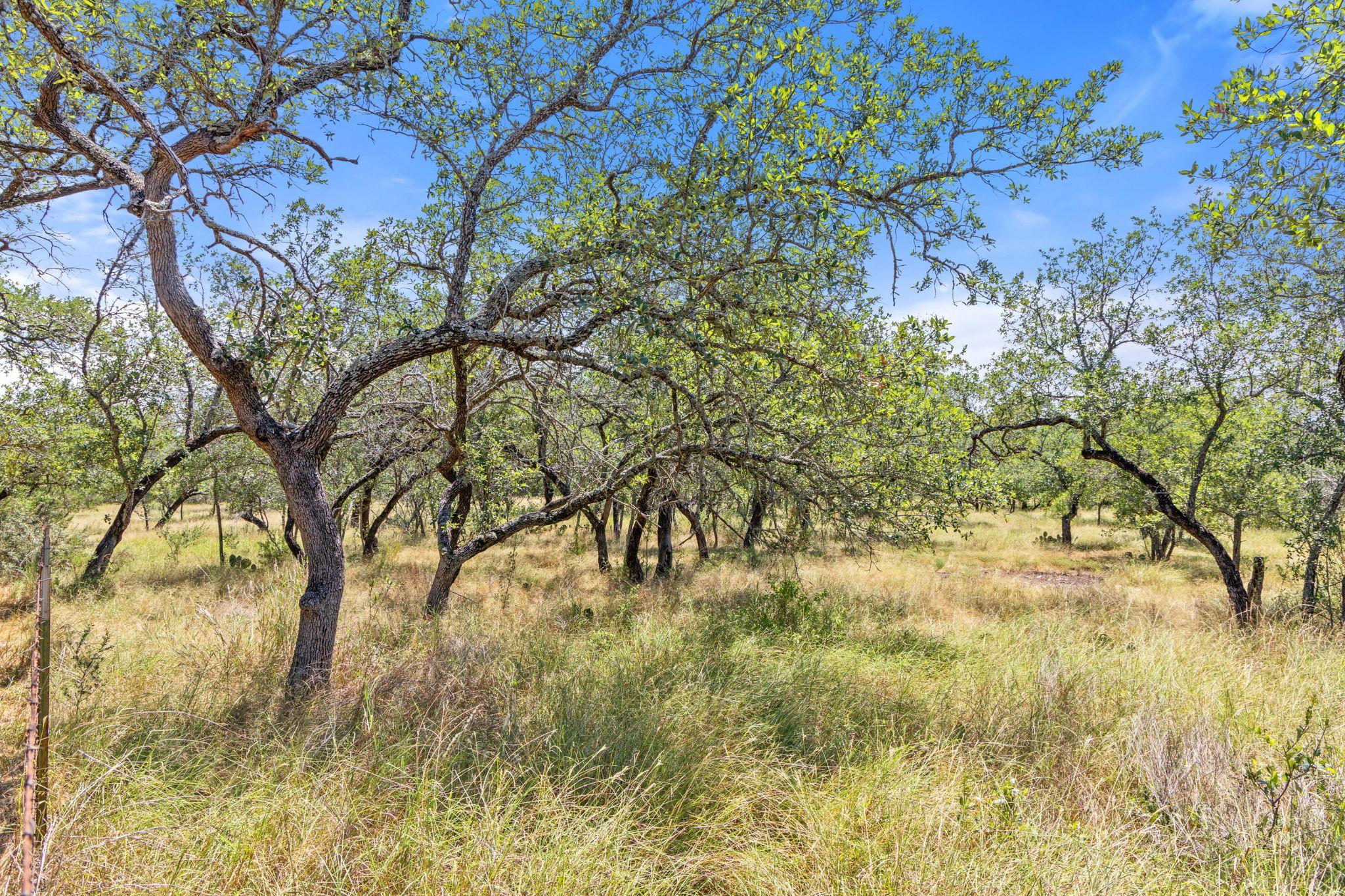 Lot 17 Stonegate Ct, Johnson City, TX 78636