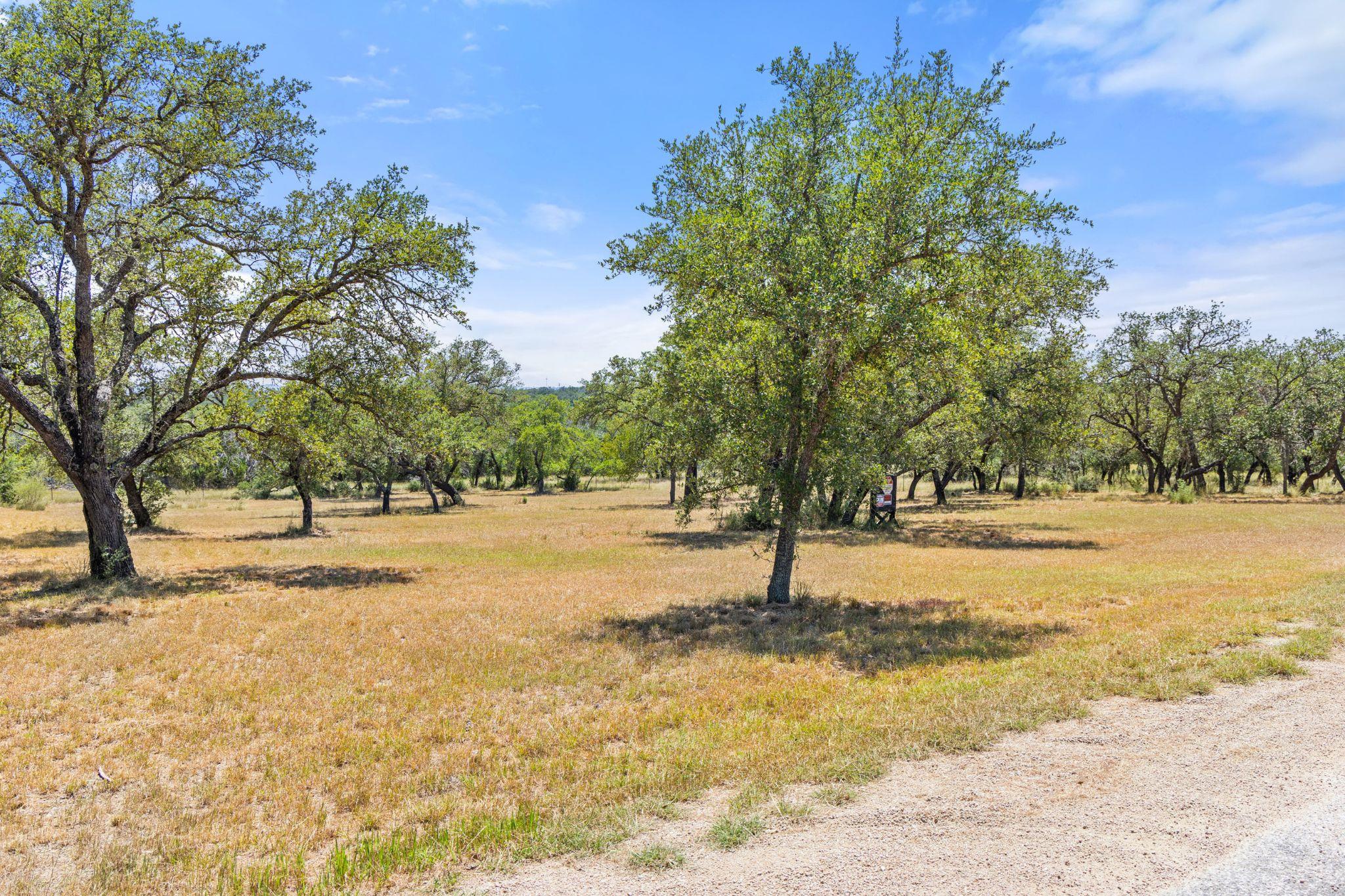 Lot 17 Stonegate Ct, Johnson City, TX 78636