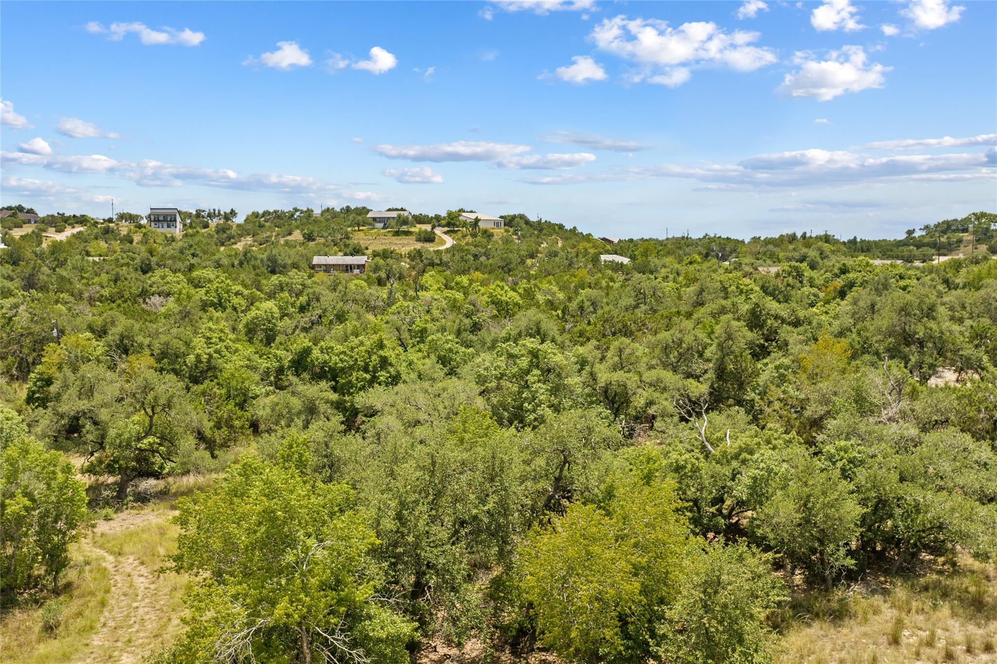 150 Oak Grove Dr, Dripping Springs, TX 78620