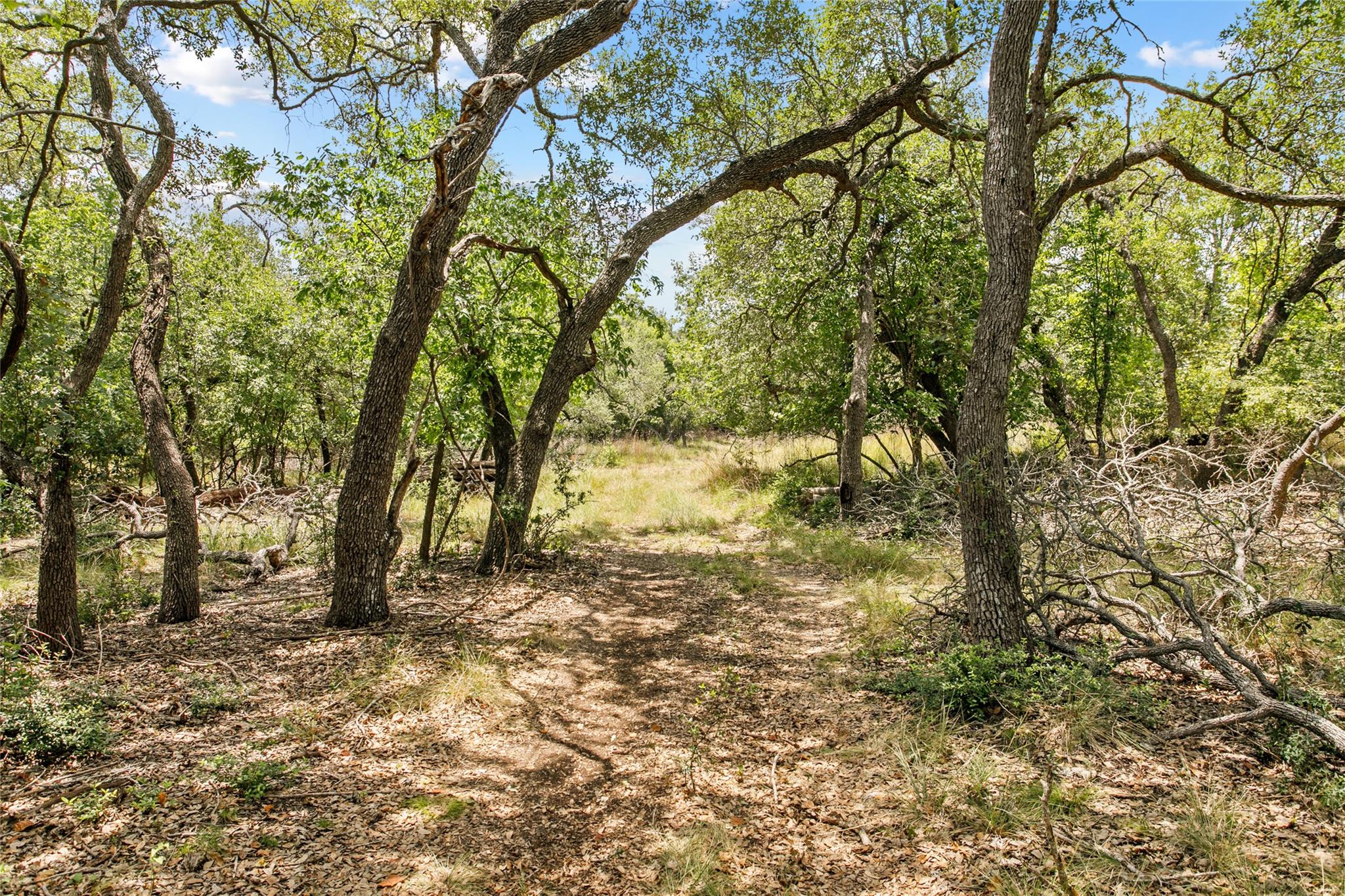 150 Oak Grove Dr, Dripping Springs, TX 78620