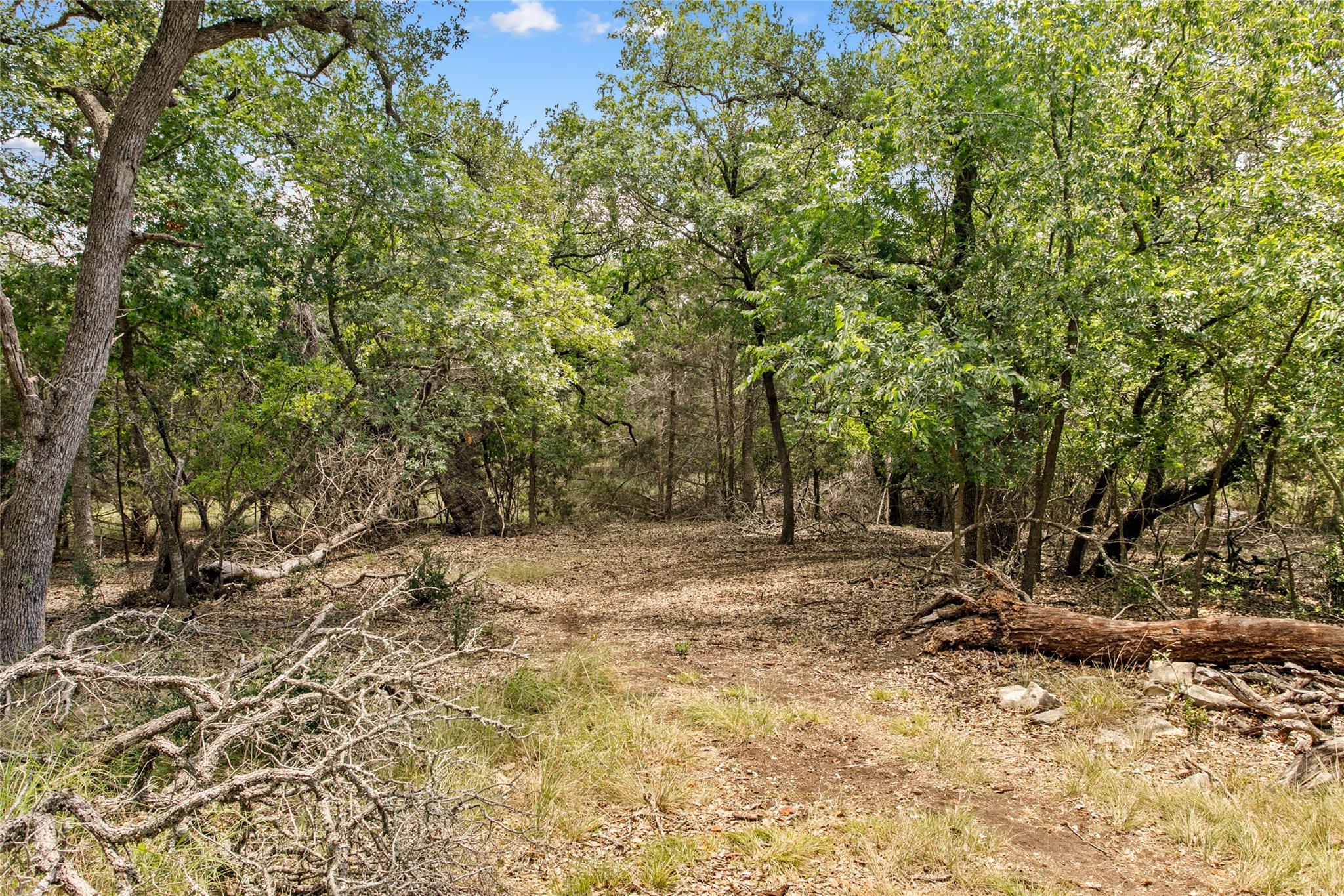 150 Oak Grove Dr, Dripping Springs, TX 78620