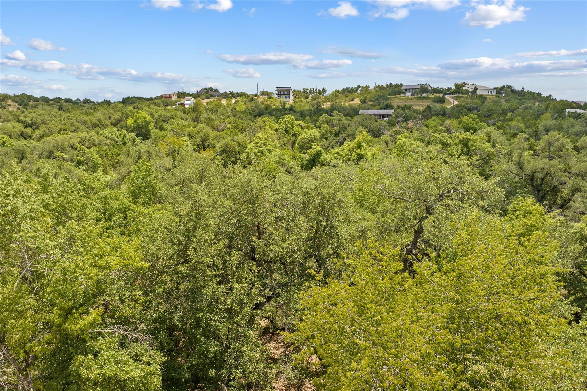 150 Oak Grove Dr, Dripping Springs, TX 78620