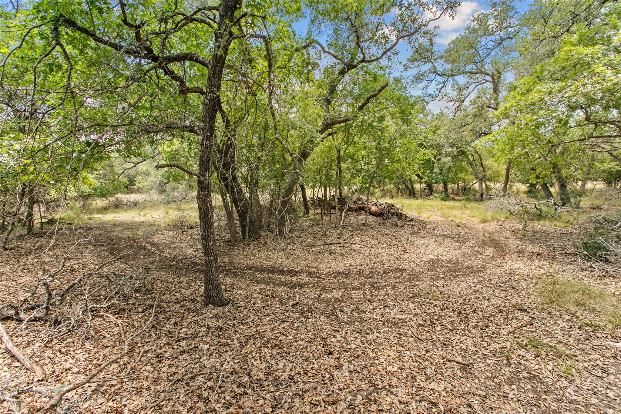 150 Oak Grove Dr, Dripping Springs, TX 78620
