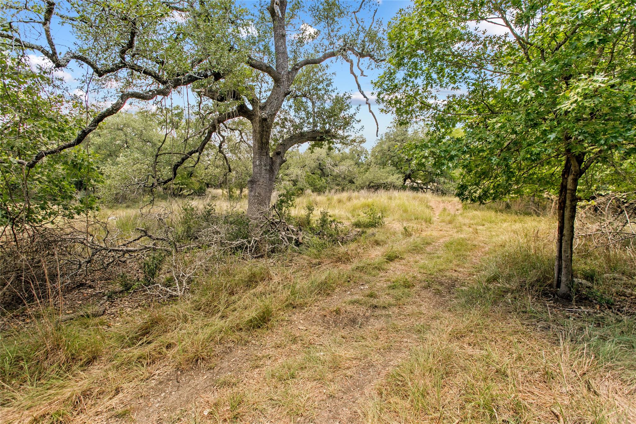150 Oak Grove Dr, Dripping Springs, TX 78620