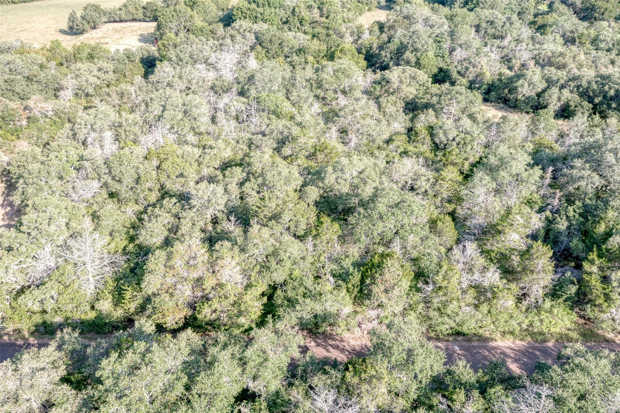 TBD Wied Rd, Rutersville, TX 78945