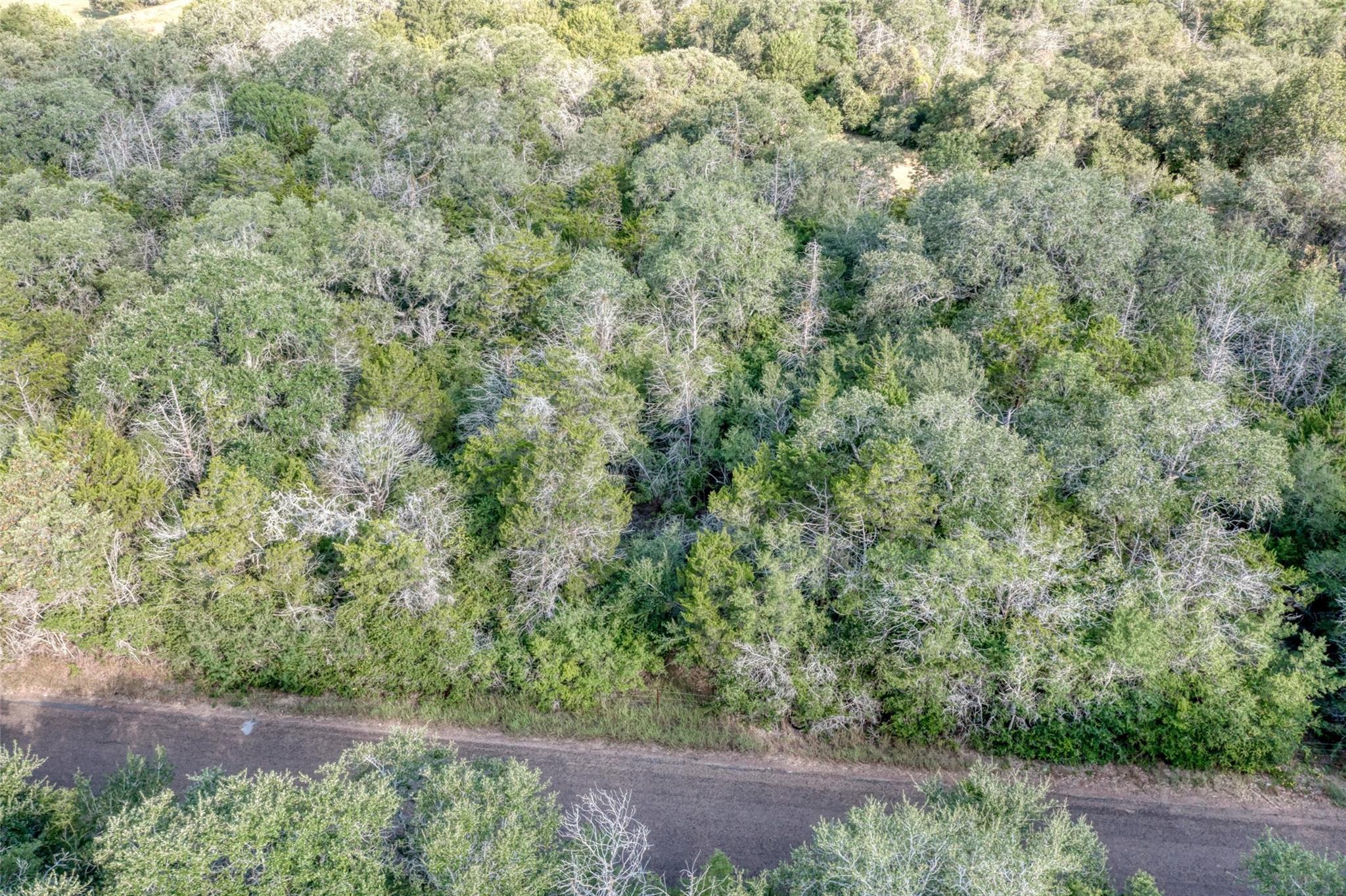 TBD Wied Rd, Rutersville, TX 78945