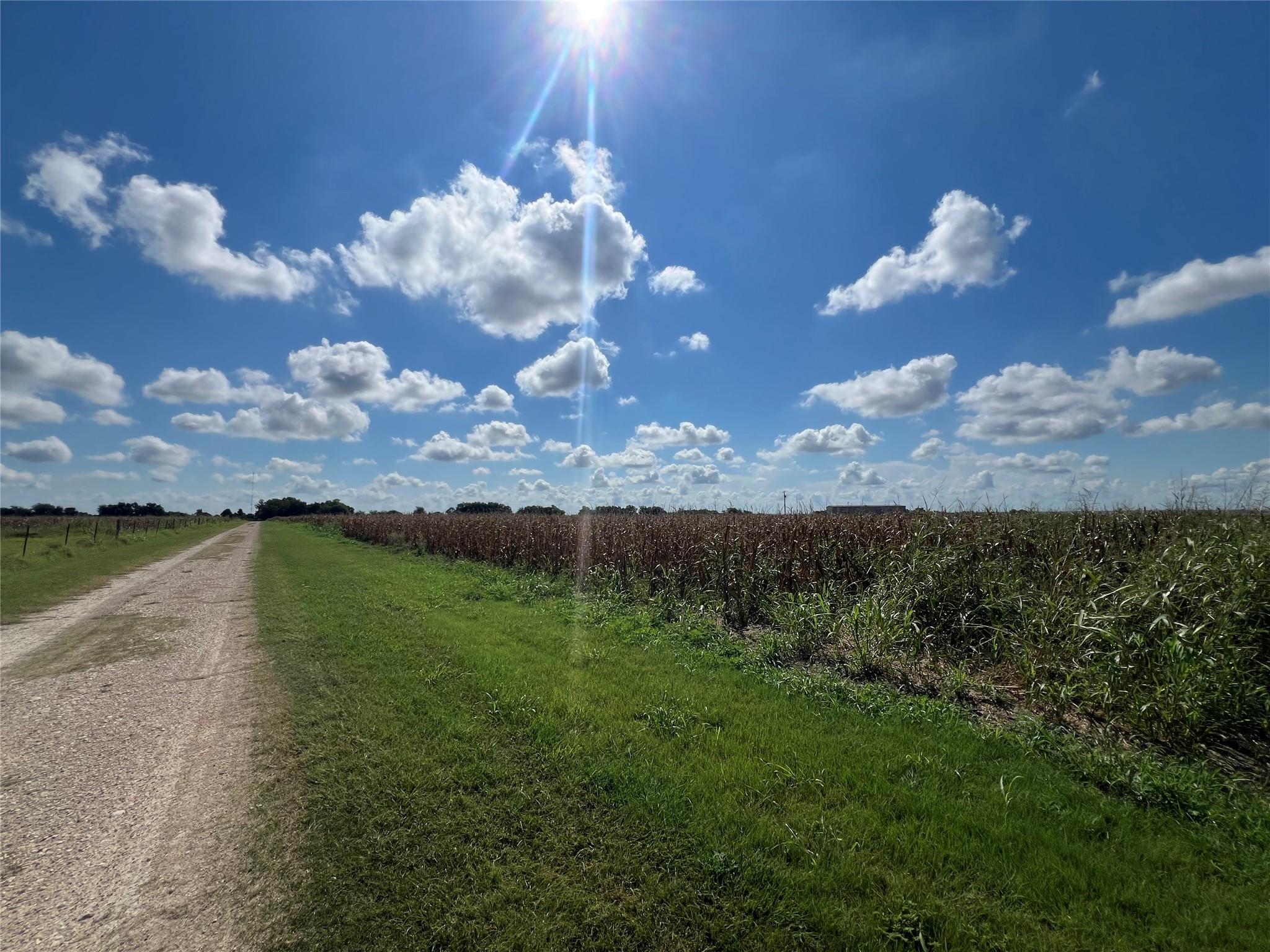 1295 County Road 432 Rd, Taylor, TX 76574