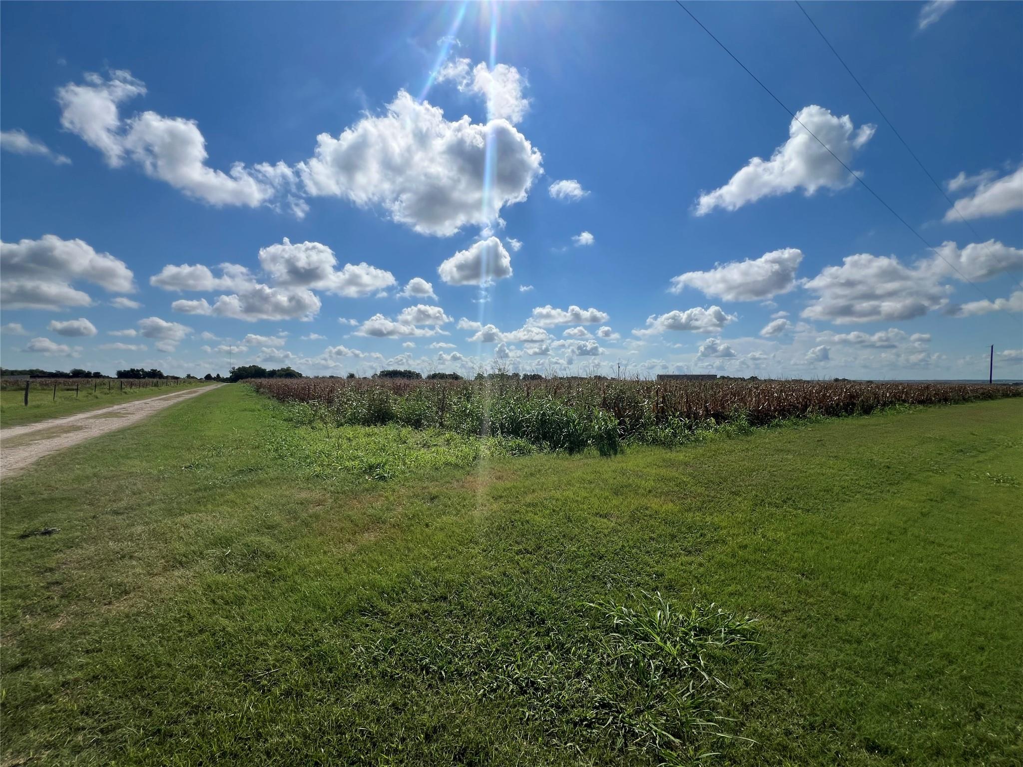 1295 County Road 432 Rd, Taylor, TX 76574