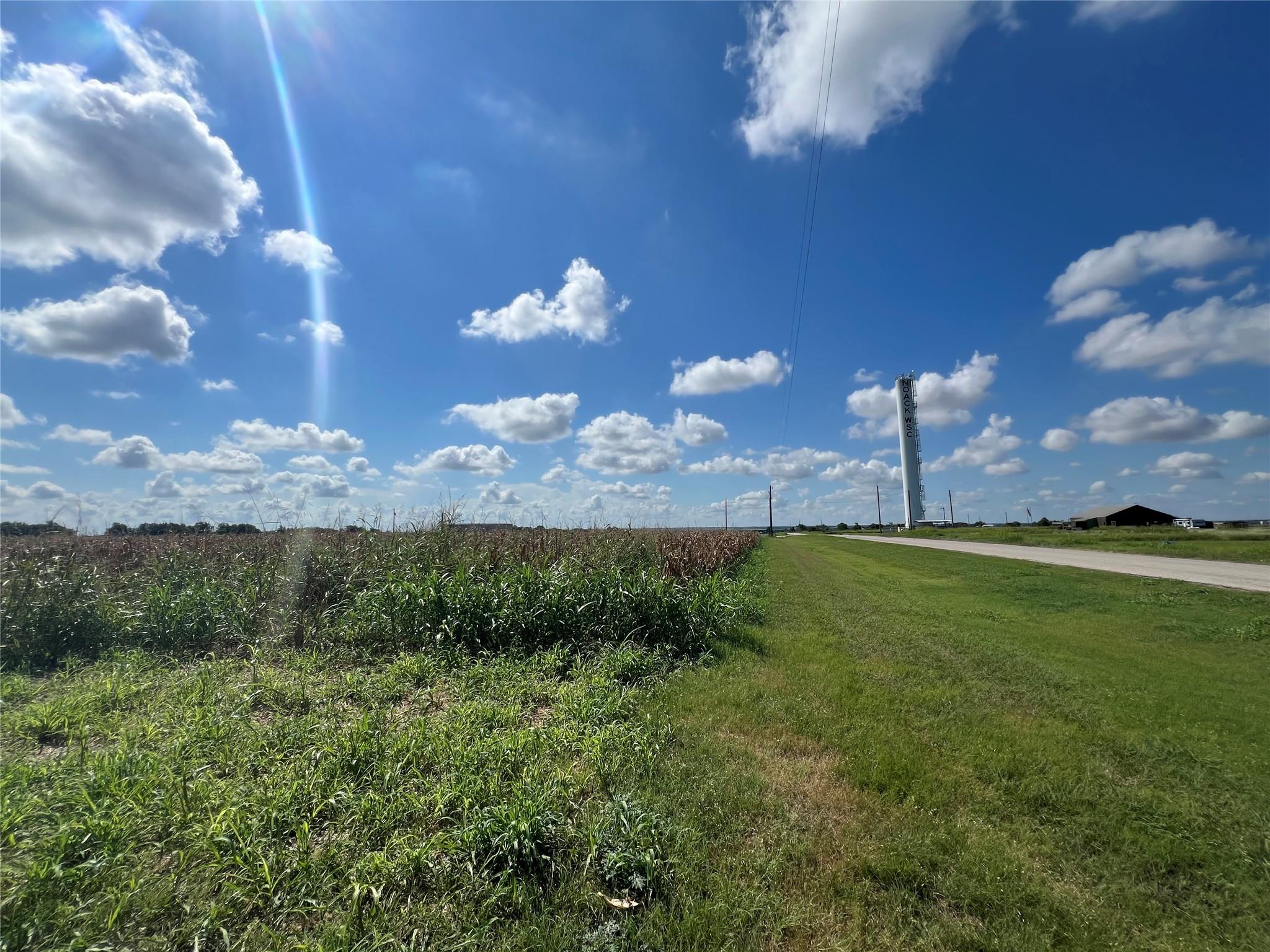 1295 County Road 432 Rd, Taylor, TX 76574