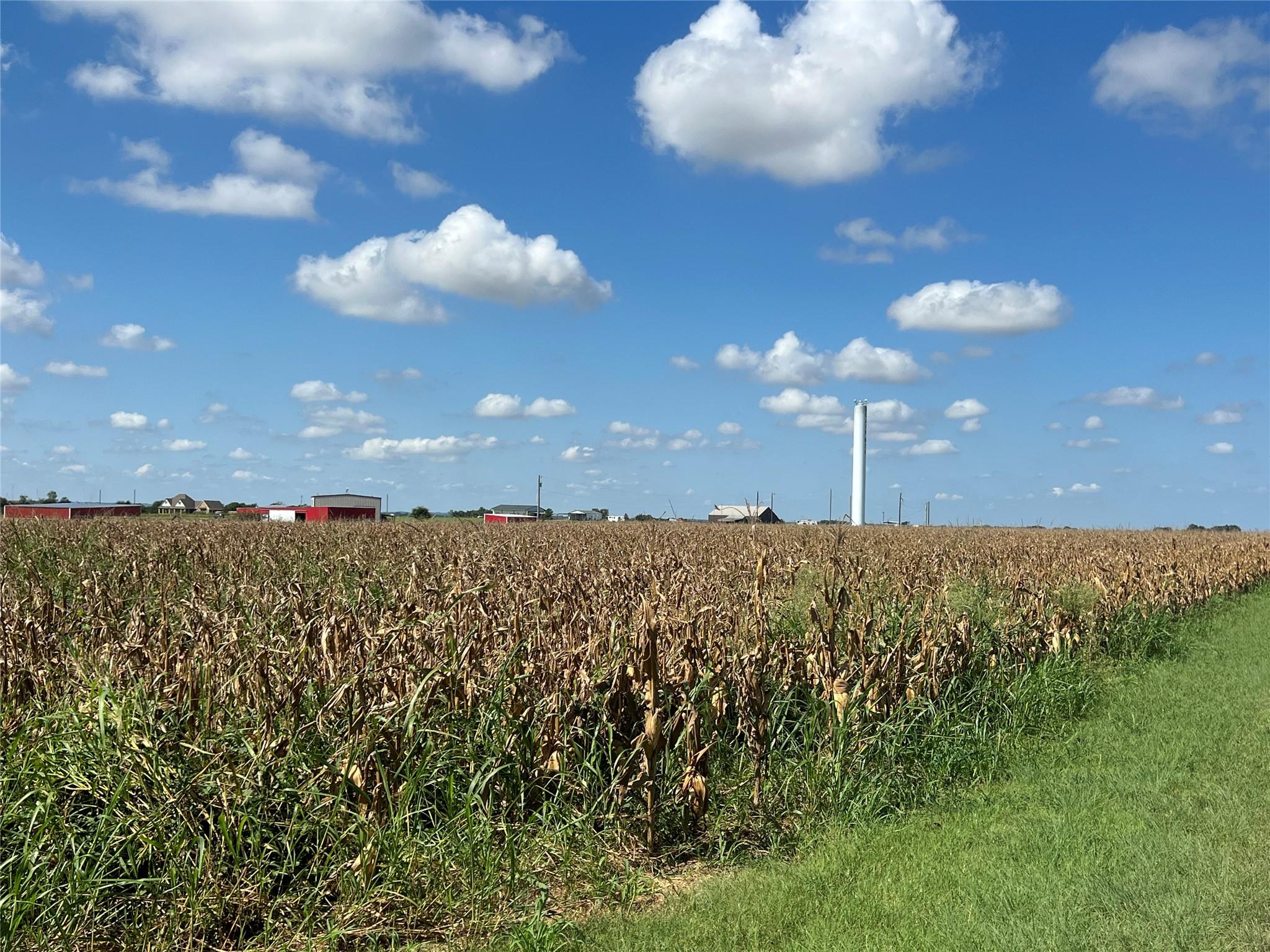 1295 County Road 432 Rd, Taylor, TX 76574