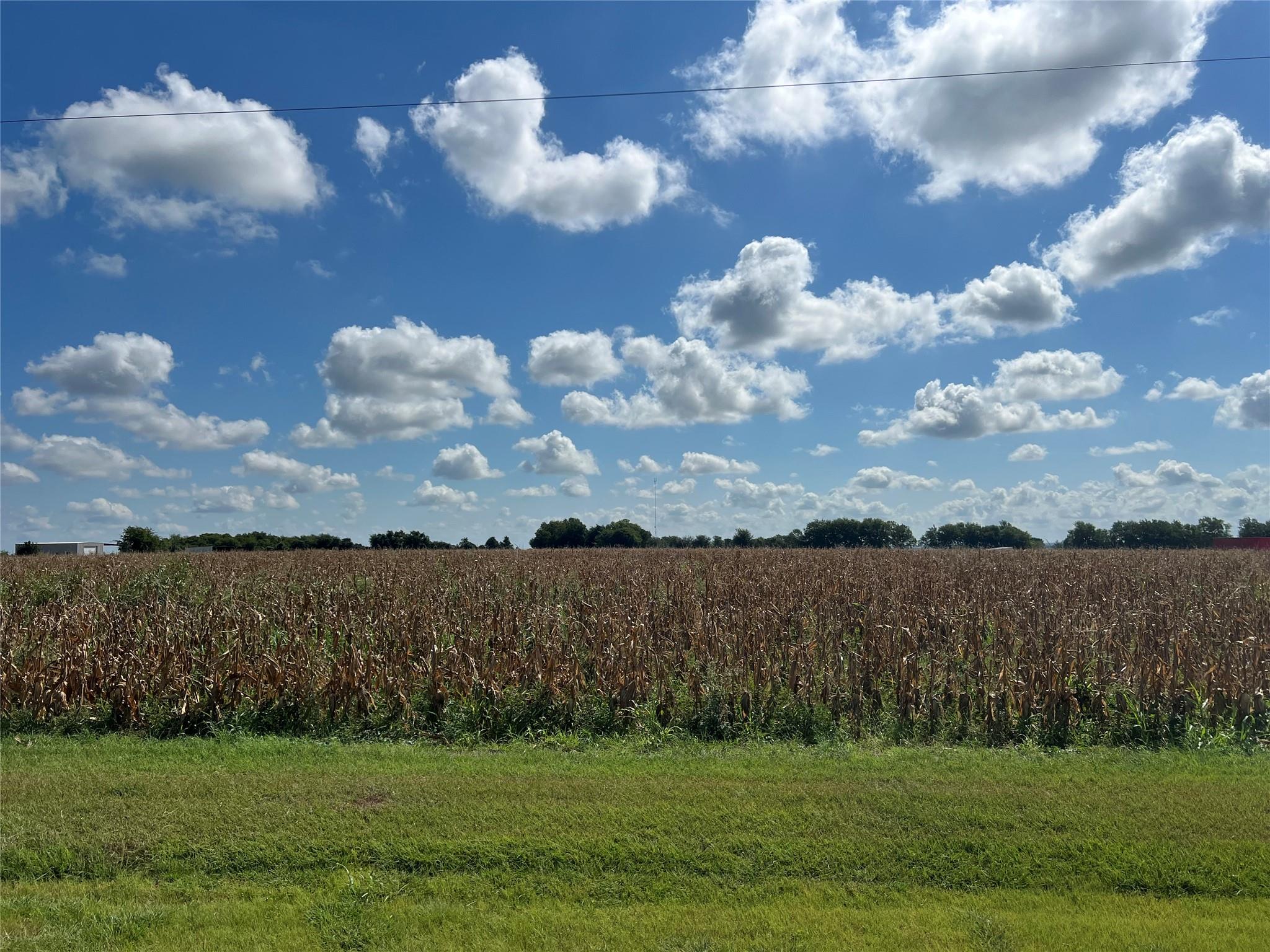 1295 County Road 432 Rd, Taylor, TX 76574