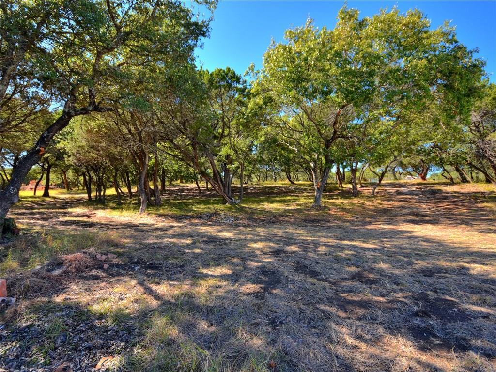 24391 Bingham Creek Rd, Leander, TX 78641