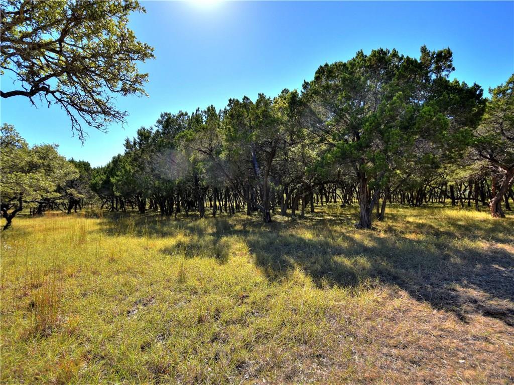 24391 Bingham Creek Rd, Leander, TX 78641