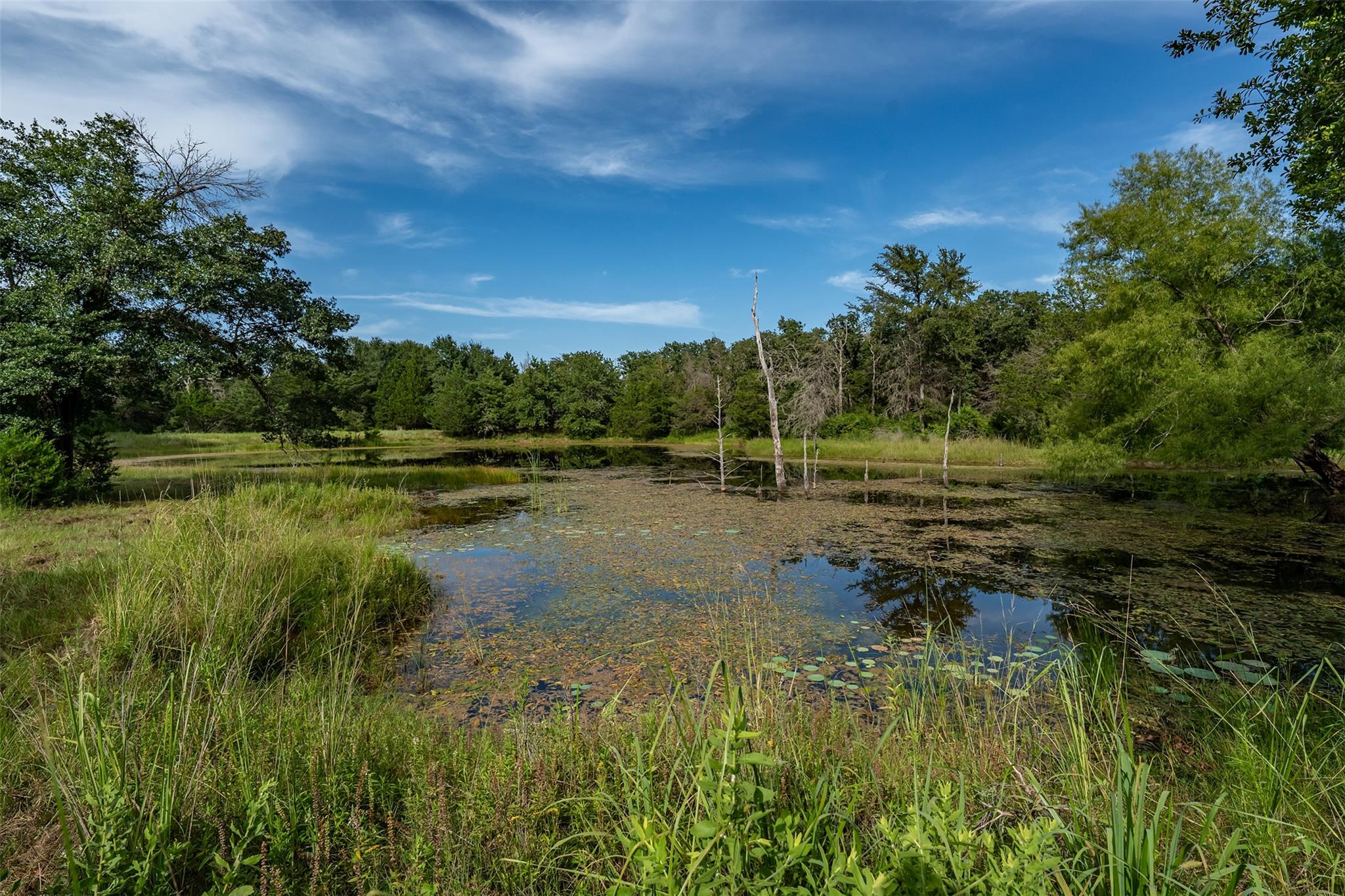 2033 Lcr 704 Rd, Groesbeck, TX 76653