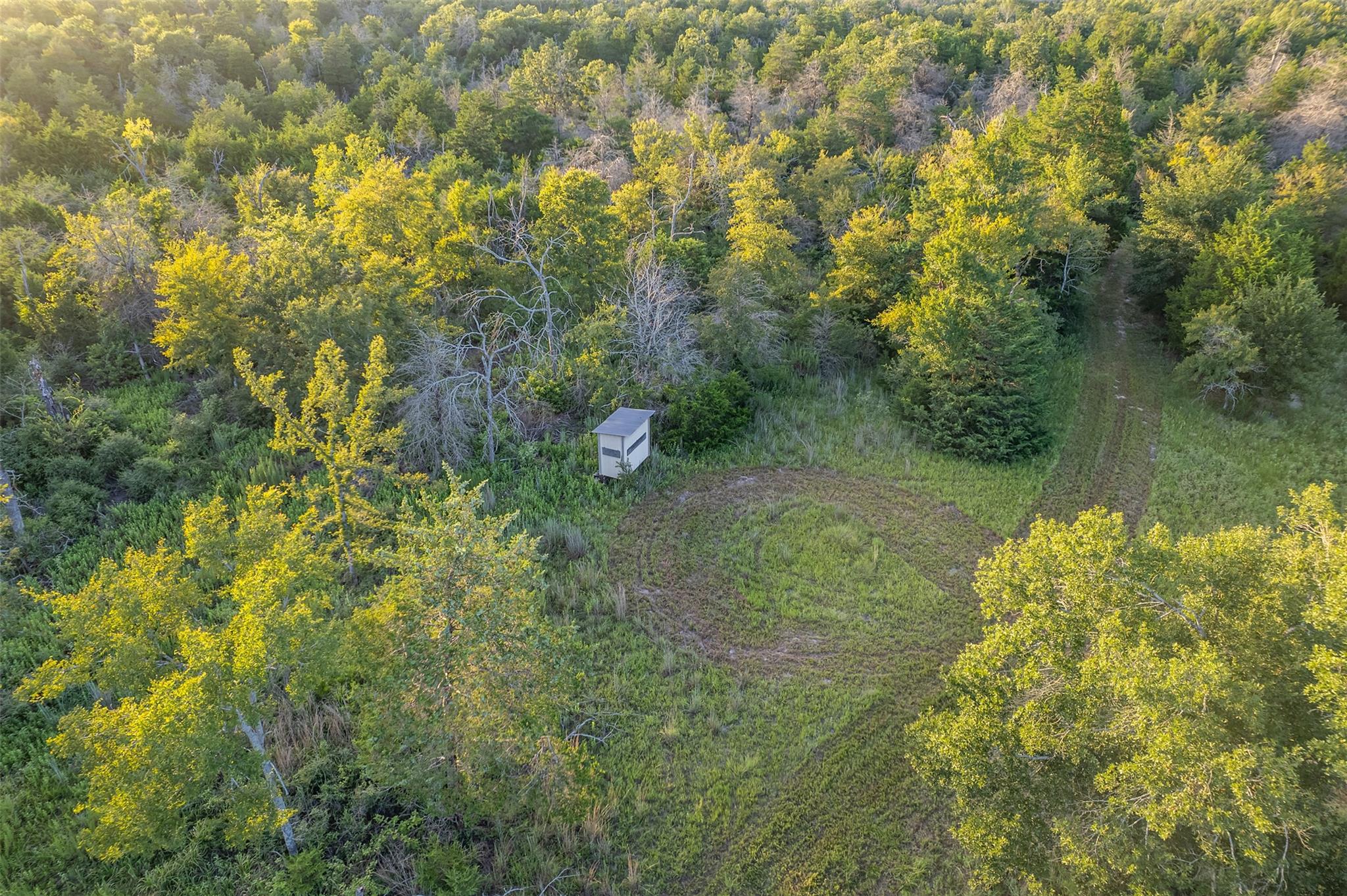 2033 Lcr 704 Rd, Groesbeck, TX 76653