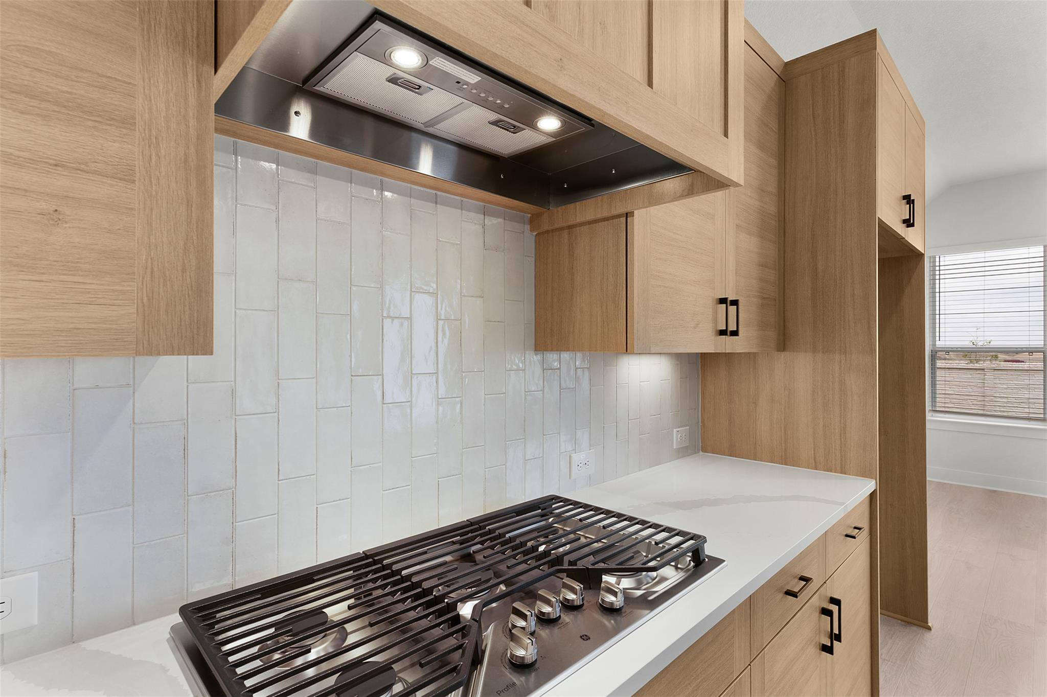 17316 Hope Bergman Rd, Pflugerville, TX 78660