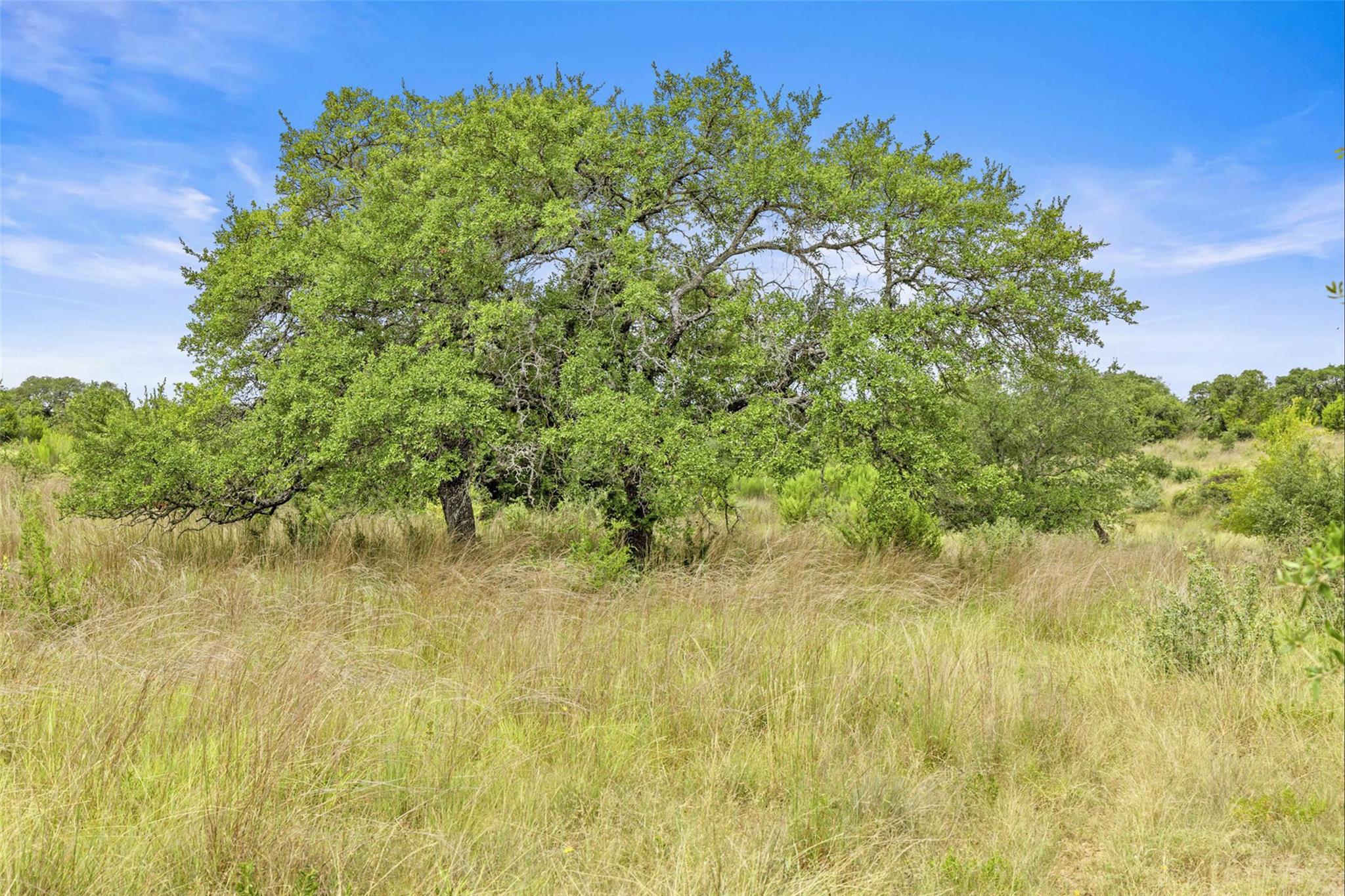 1198 N Walnut Springs Rd, Johnson City, TX 78636