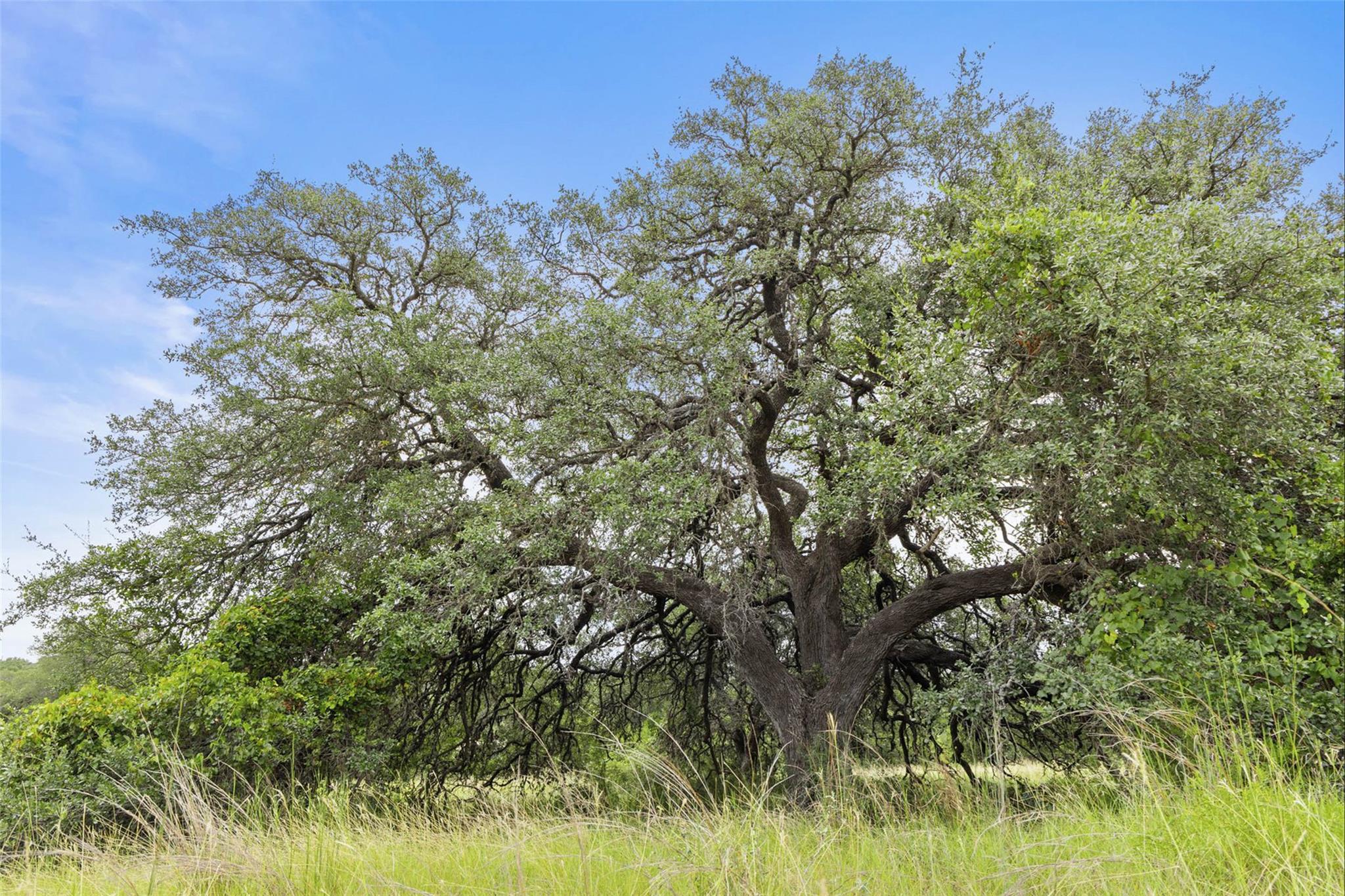 1198 N Walnut Springs Rd, Johnson City, TX 78636