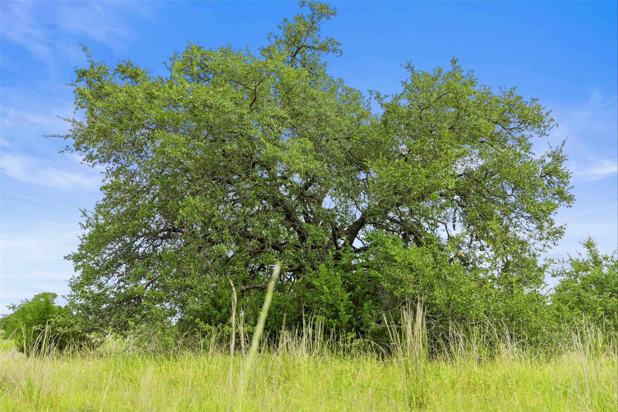 1198 N Walnut Springs Rd, Johnson City, TX 78636