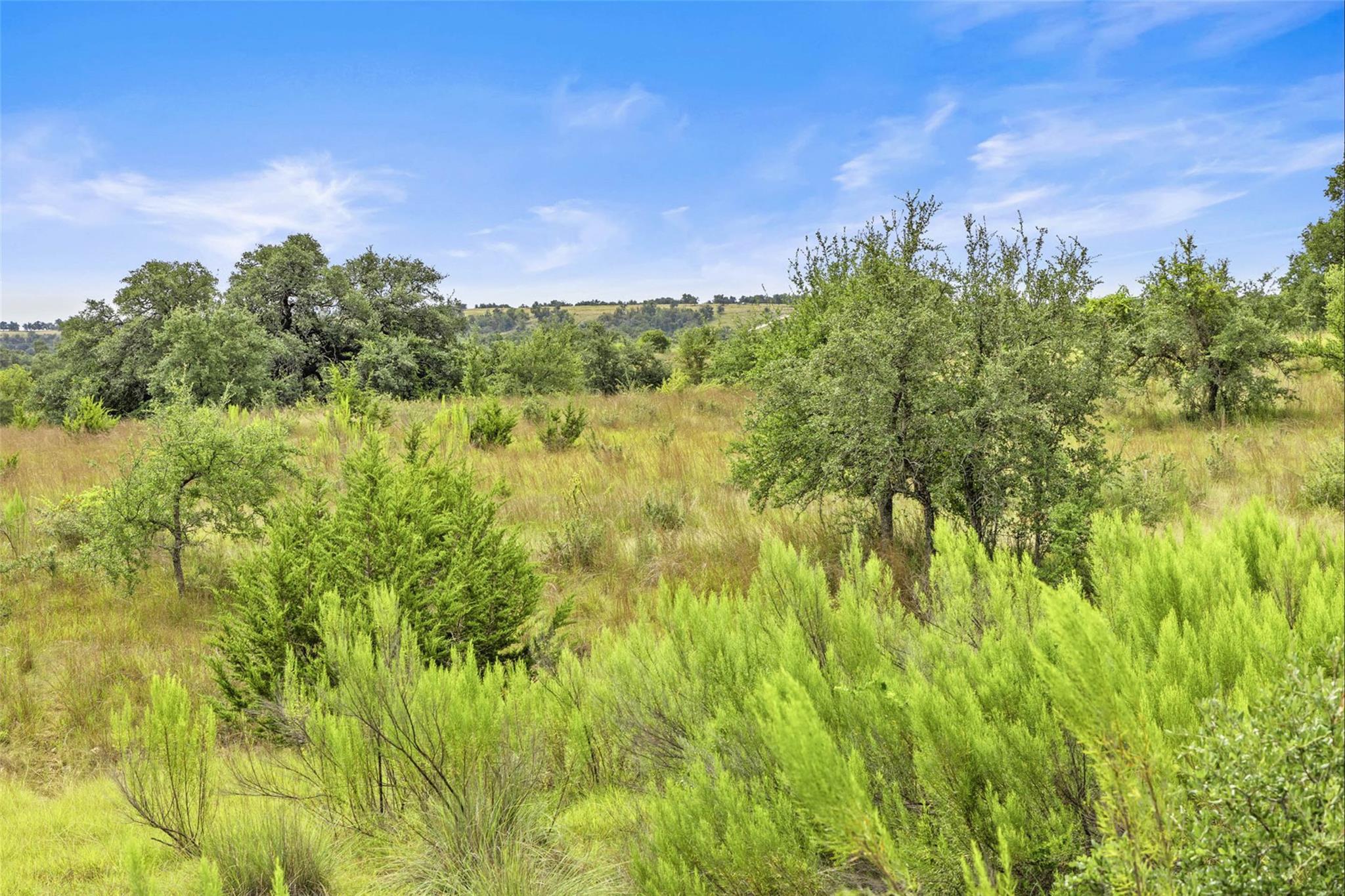 1198 N Walnut Springs Rd, Johnson City, TX 78636