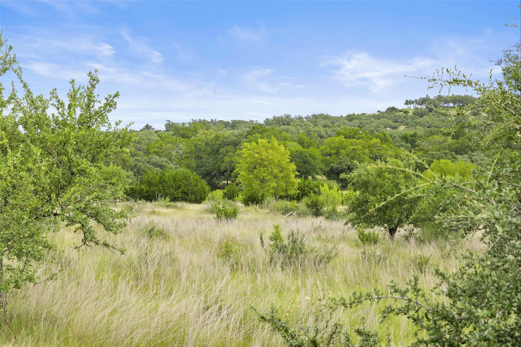 1198 N Walnut Springs Rd, Johnson City, TX 78636