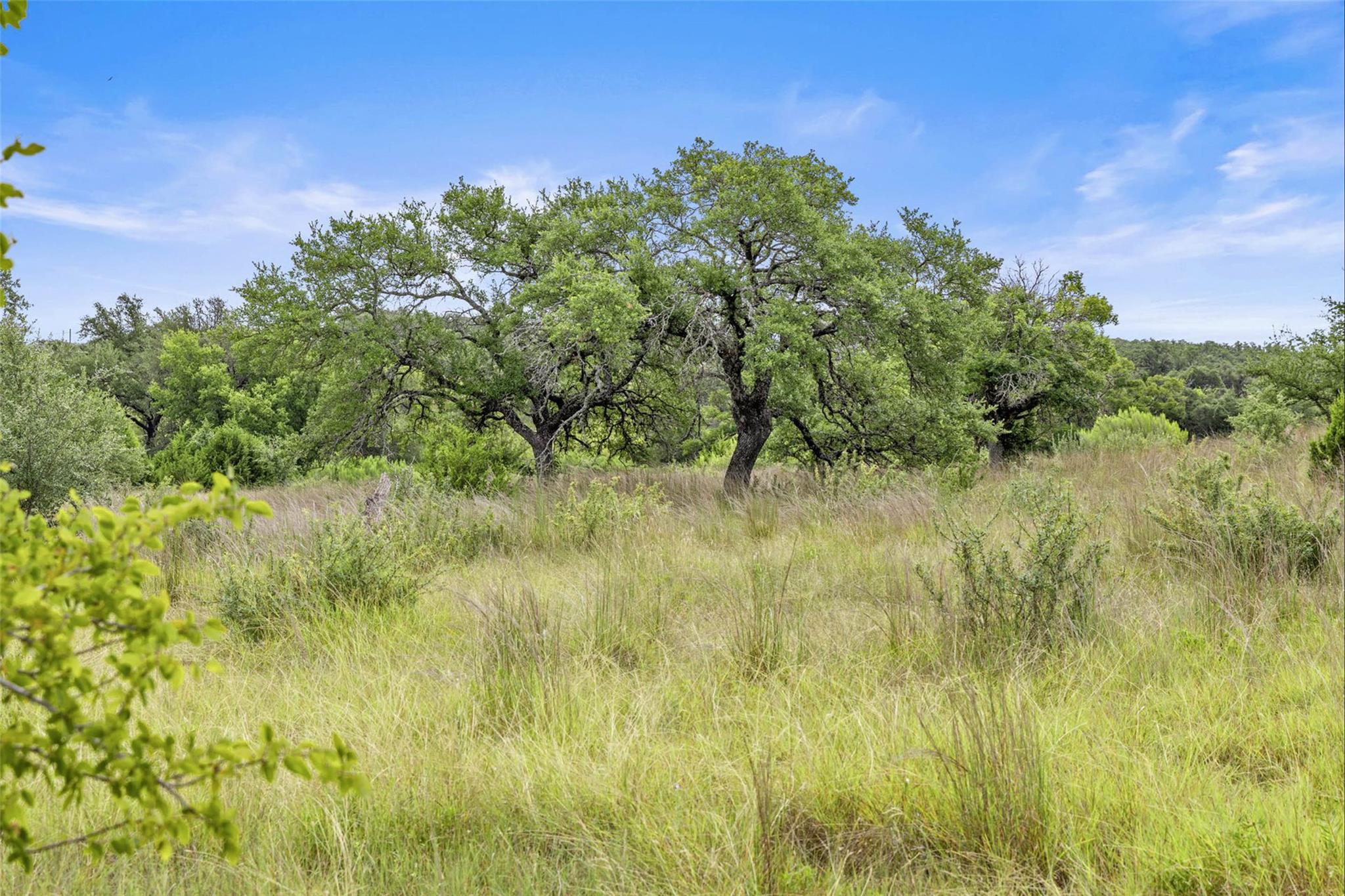 1198 N Walnut Springs Rd, Johnson City, TX 78636