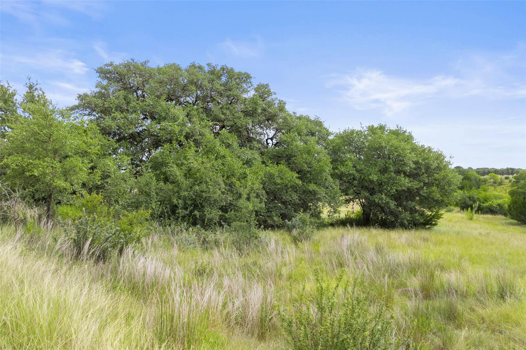 1198 N Walnut Springs Rd, Johnson City, TX 78636