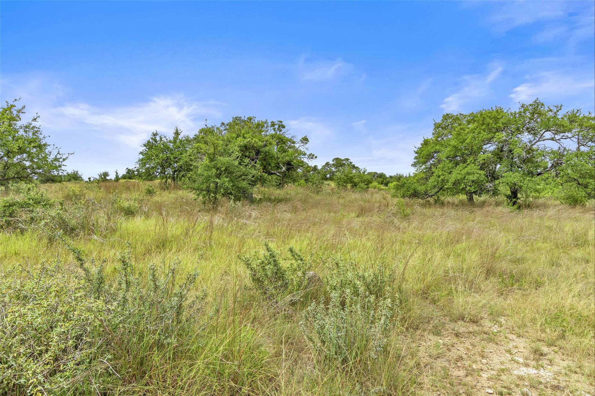 1198 N Walnut Springs Rd, Johnson City, TX 78636