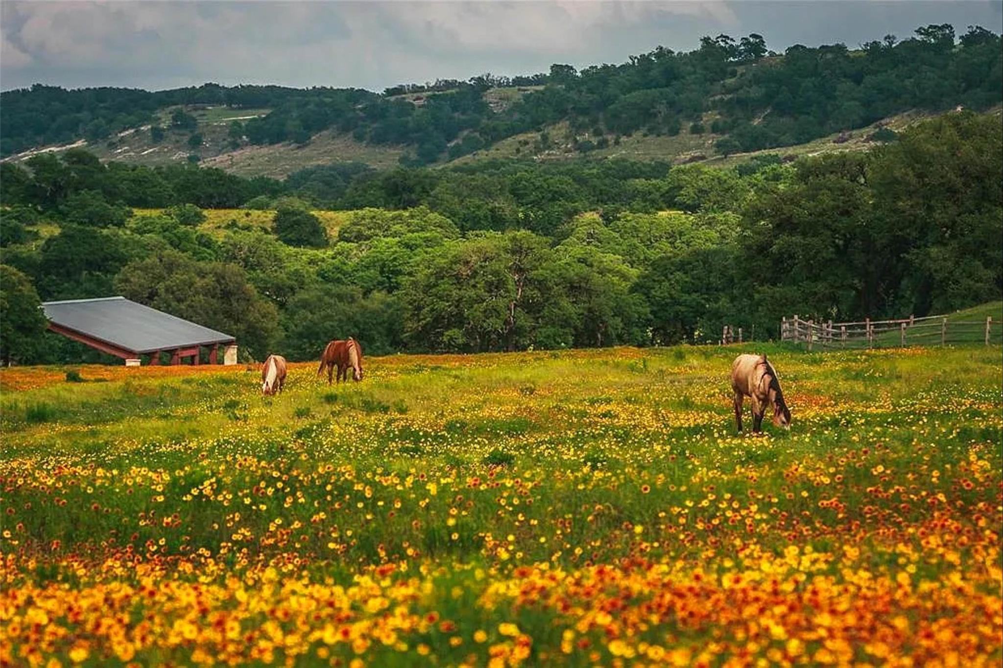 1198 N Walnut Springs Rd, Johnson City, TX 78636