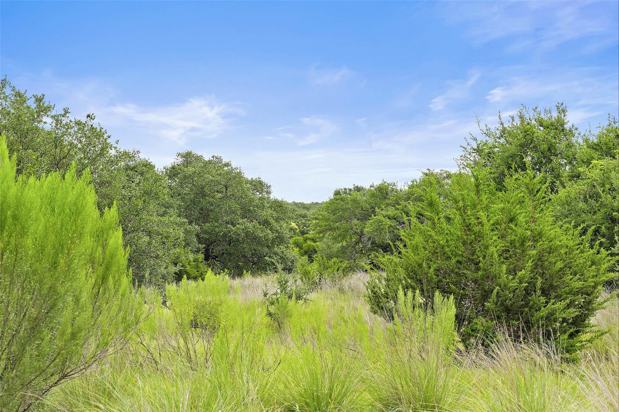 1198 N Walnut Springs Rd, Johnson City, TX 78636