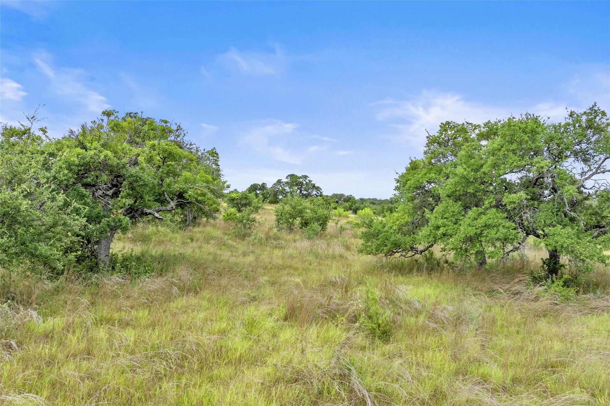 1198 N Walnut Springs Rd, Johnson City, TX 78636