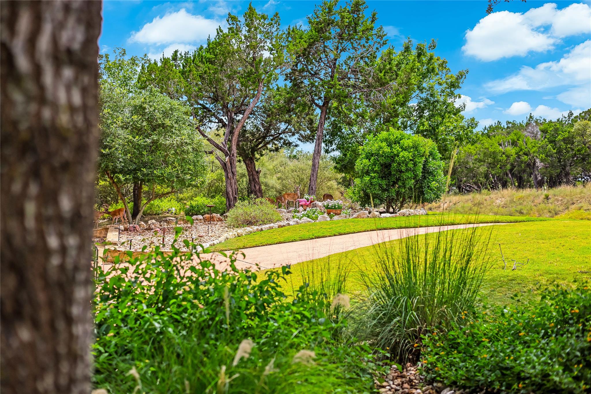 6913 Starboard Cv, Jonestown, TX 78645