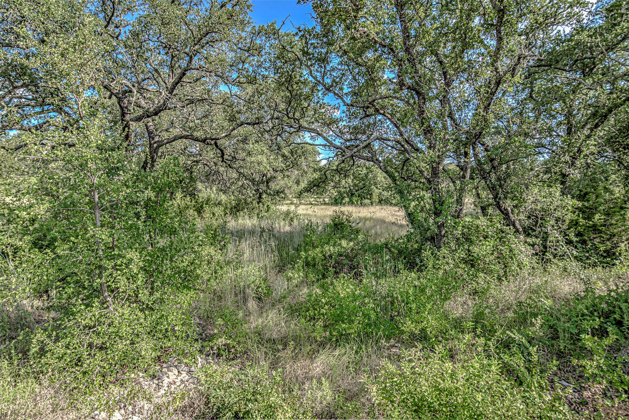 LOT 29-A Sierra Blf, Buchanan Dam, TX 78609