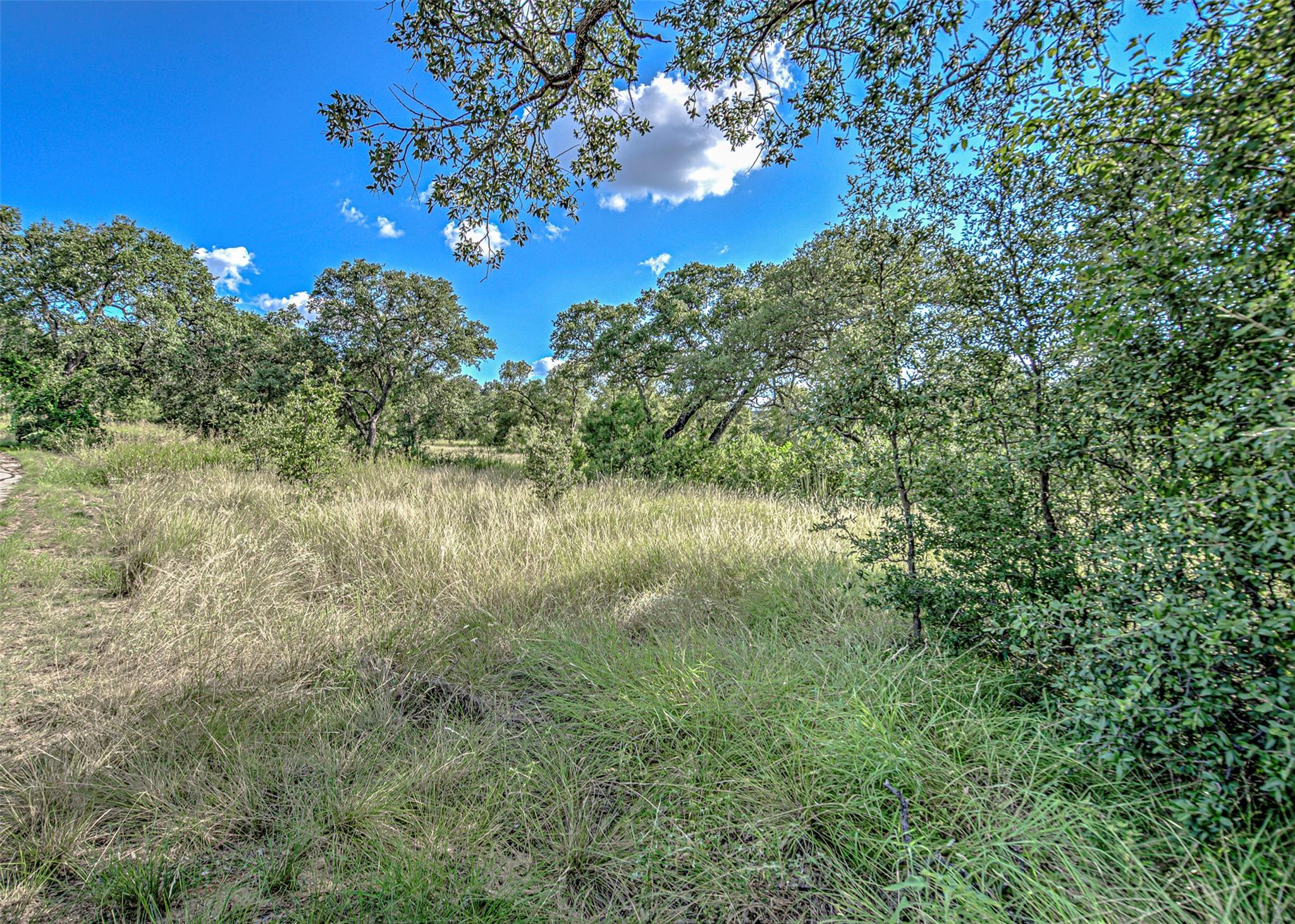 LOT 29-A Sierra Blf, Buchanan Dam, TX 78609