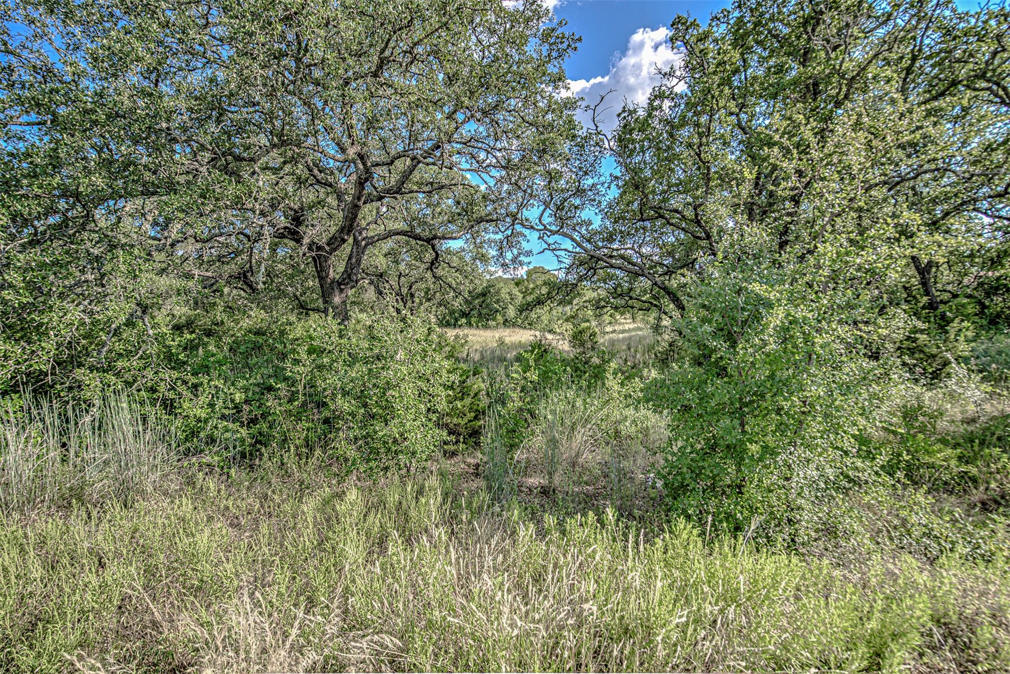 LOT 29-A Sierra Blf, Buchanan Dam, TX 78609