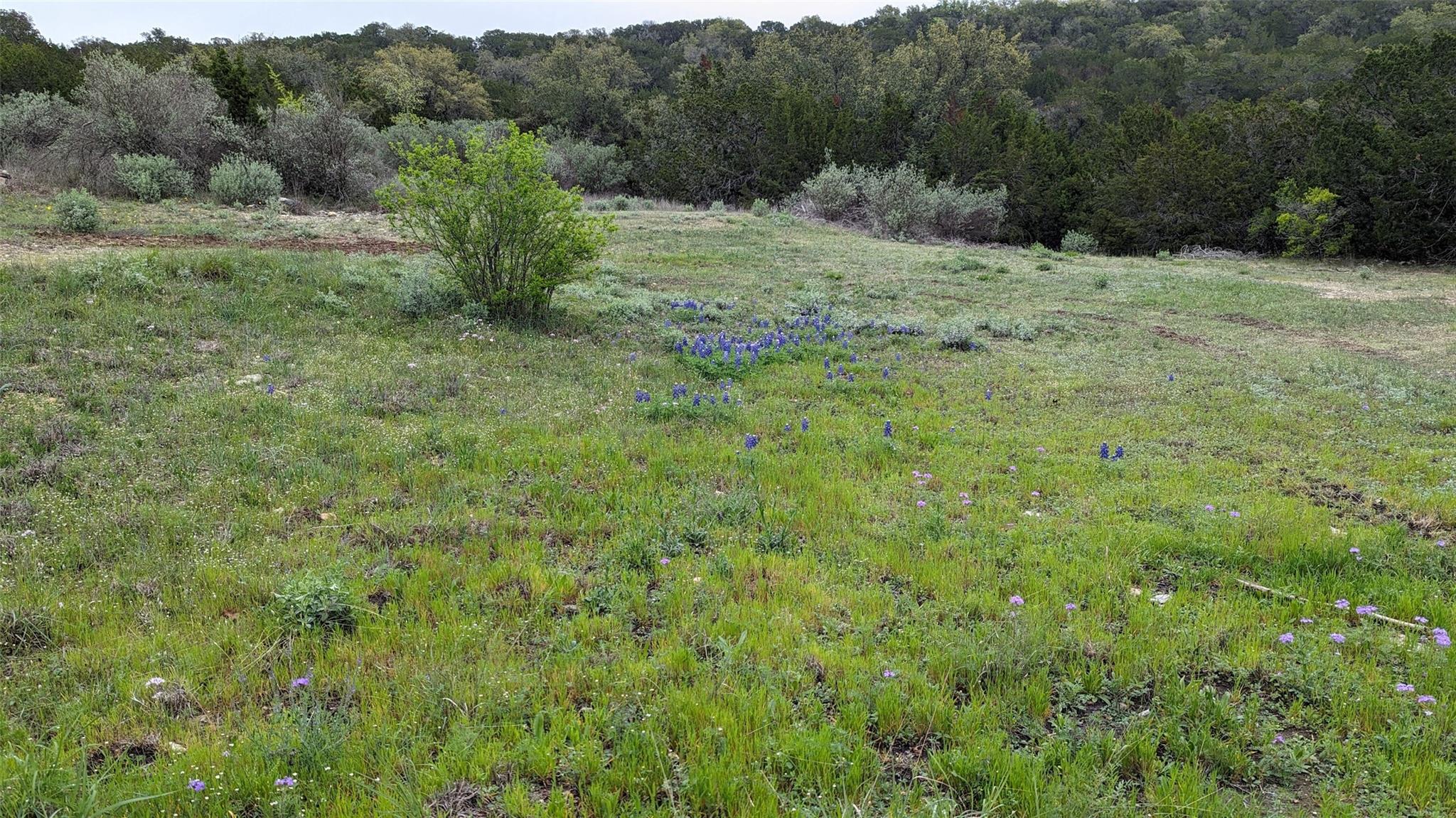 TBD Angel Light Dr, Spicewood, TX 78669